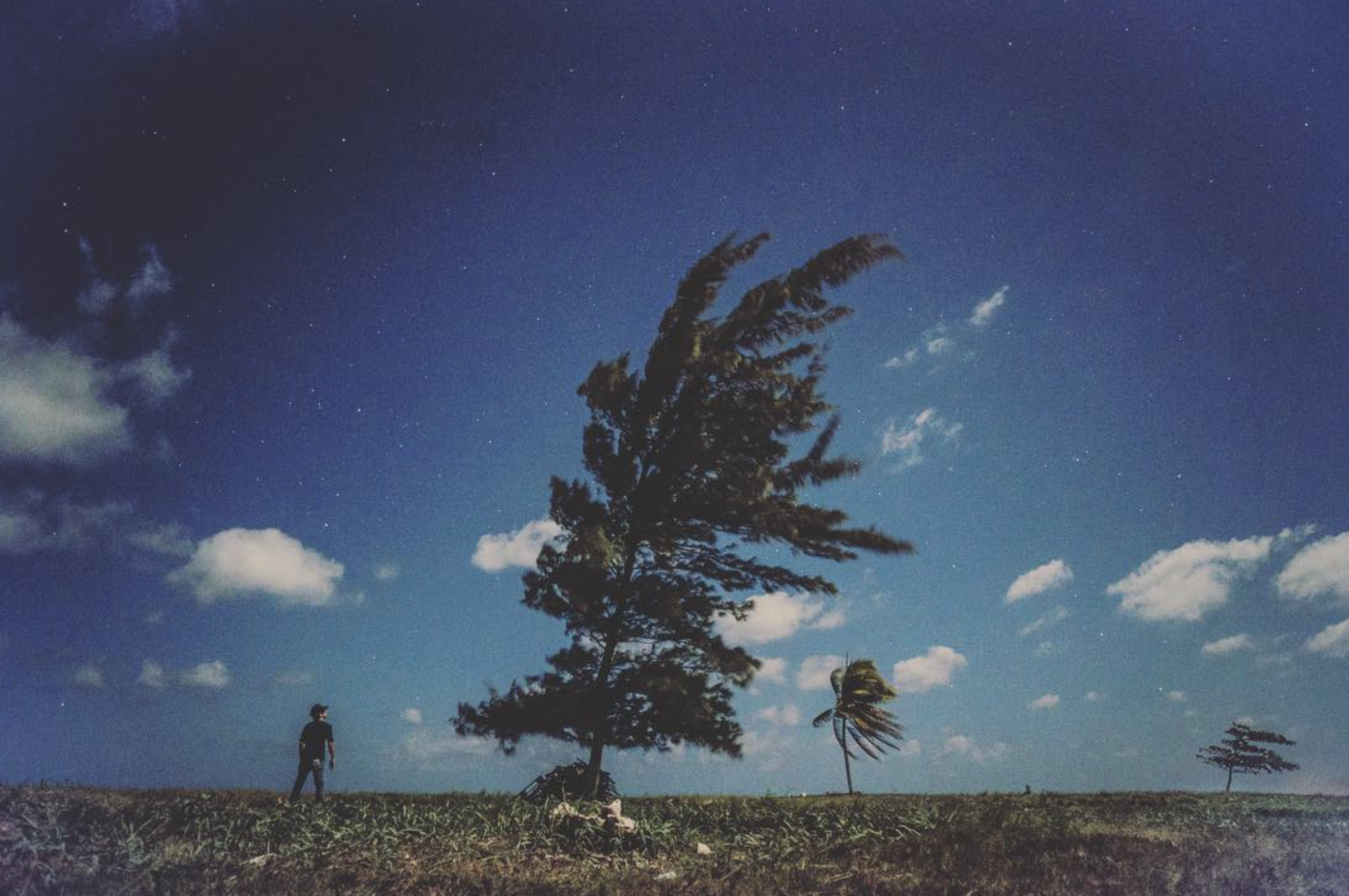 Screen Shot 2021-07-17 at 1.33.30 AM.png