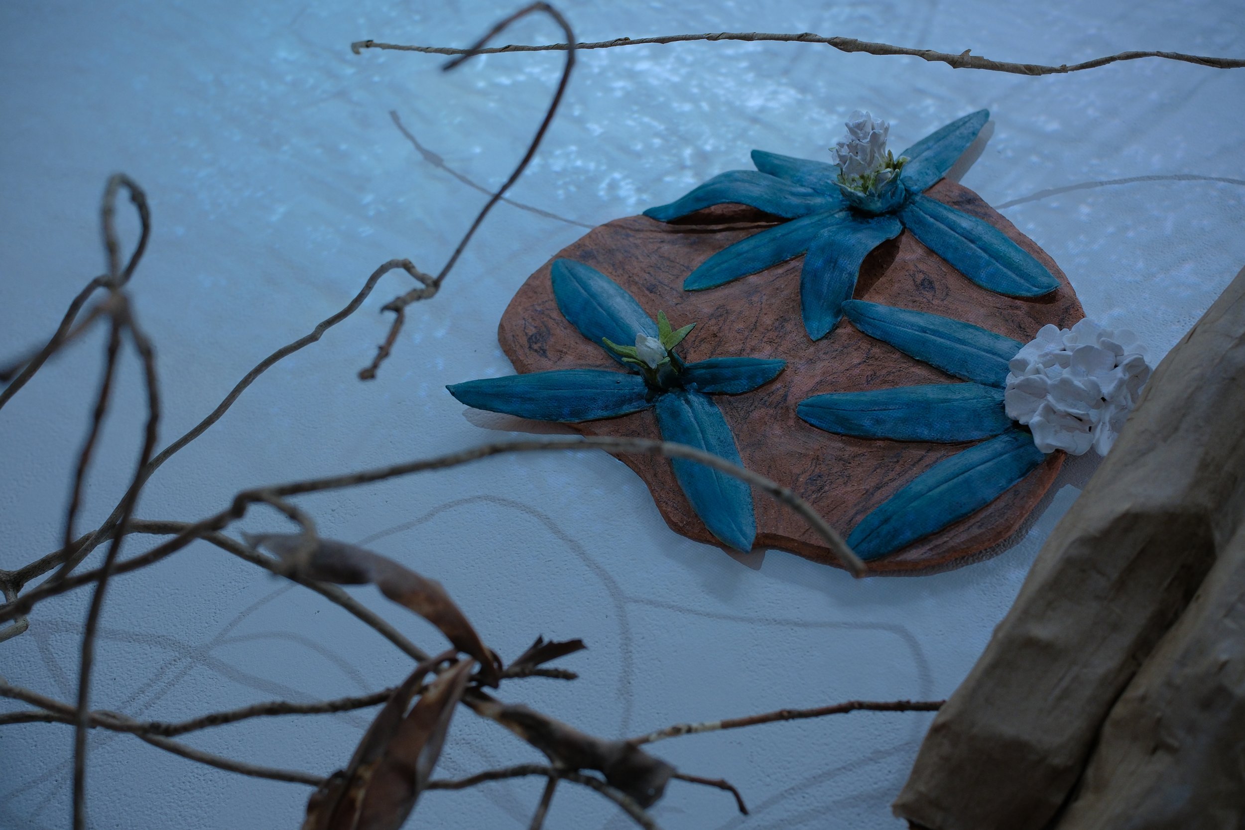 DSCF3056.JPG