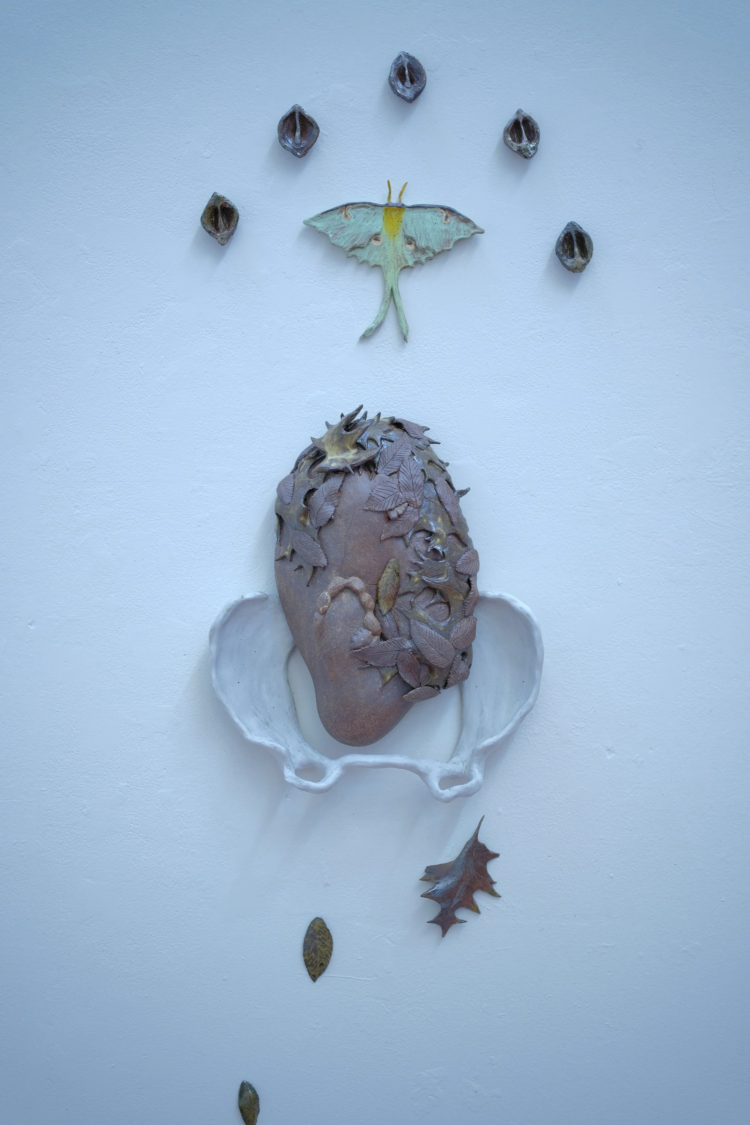 The Possibility of a Walnut Tree