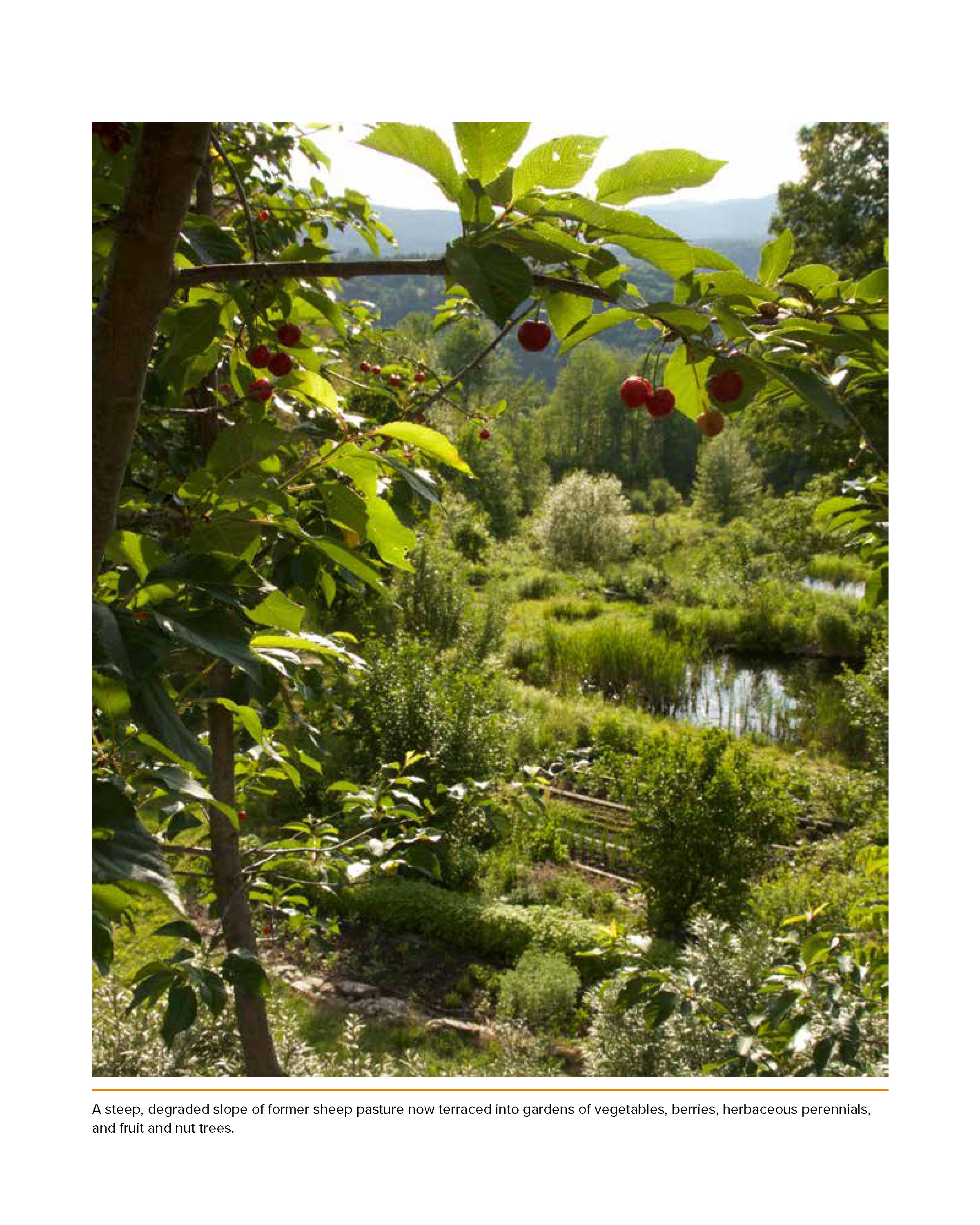 The-Resilient-Farm-and-Homestead-Ben-Falk-Book-Preview_1.jpg