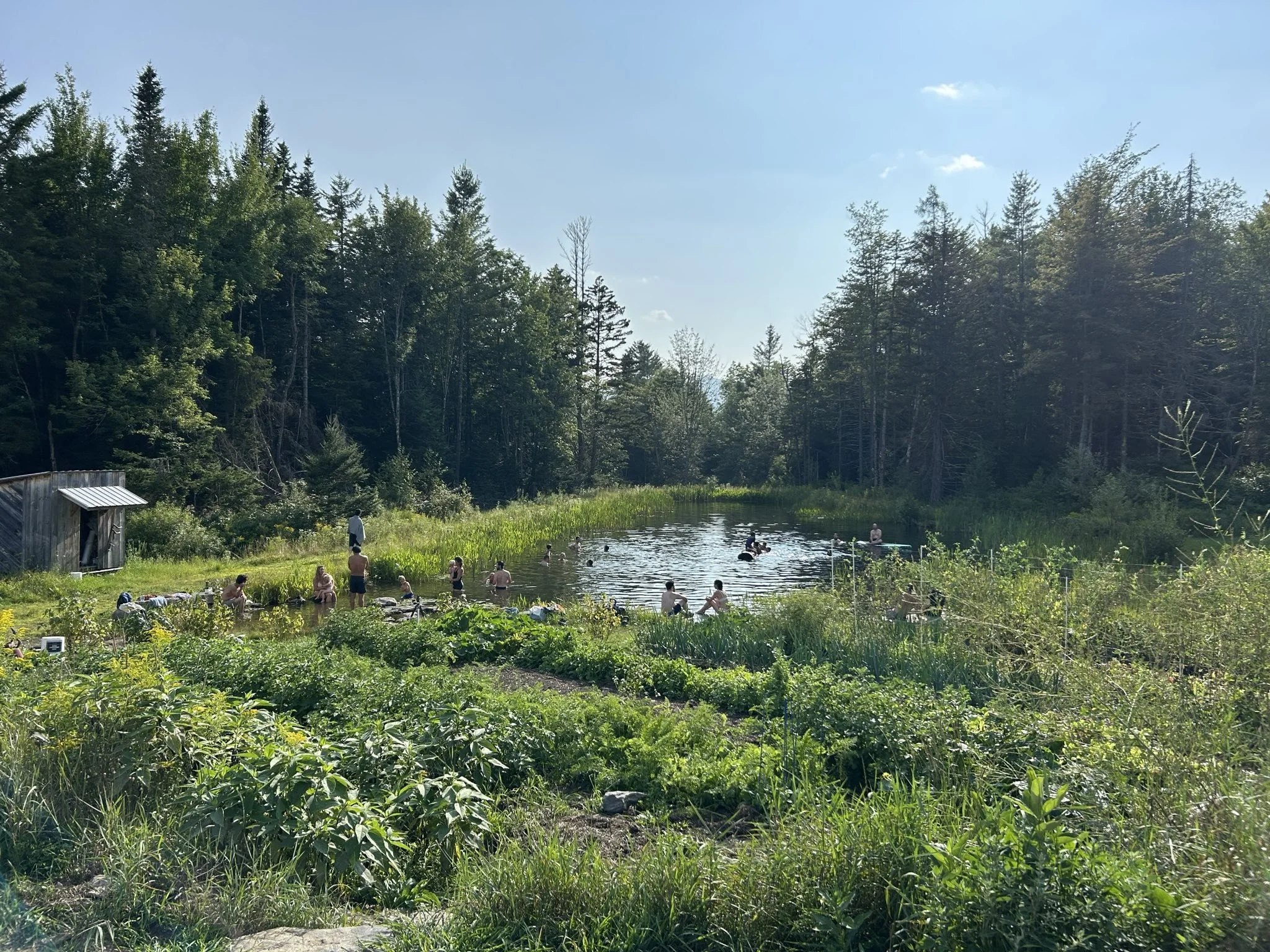 PDC 2025 garden pond swim.jpg