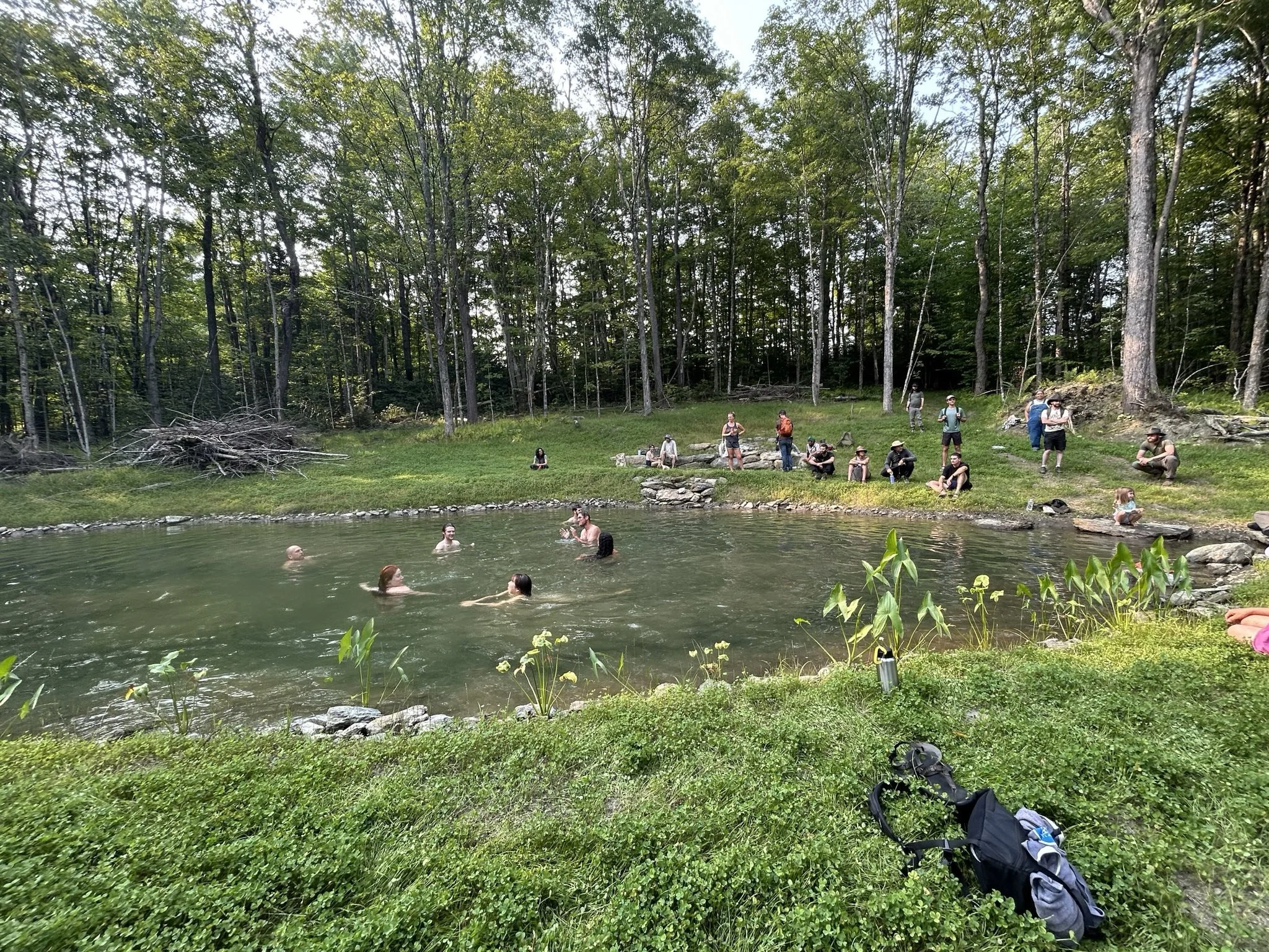 PDC 2025_swim_brook-pond.jpg