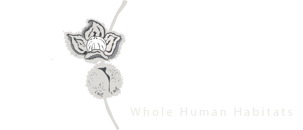 Whole Systems Design