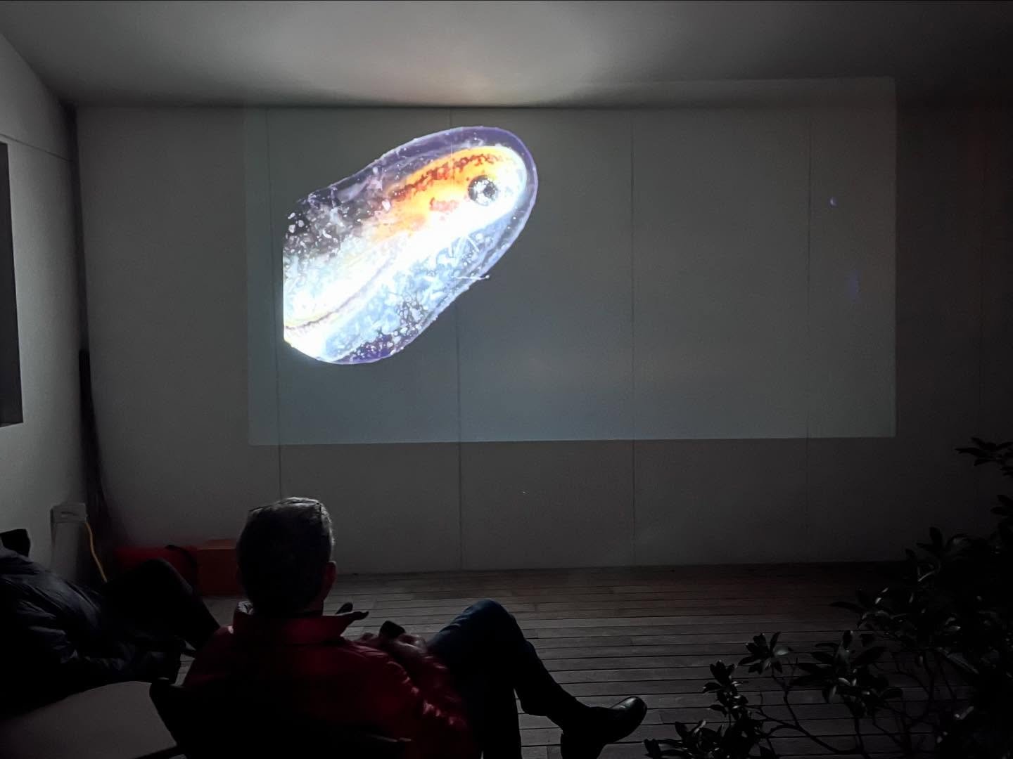 Lost and Found Lab events hosted and curated by Lab AIR alums have a lot of heart and soul&hellip; The extraordinary surrounding landscape always plays a starring role. Thanks to all who came out &hellip; and thanks to @marthawillettelewis for curati