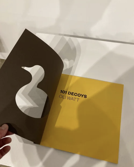 101 Decoys by Oli Watt