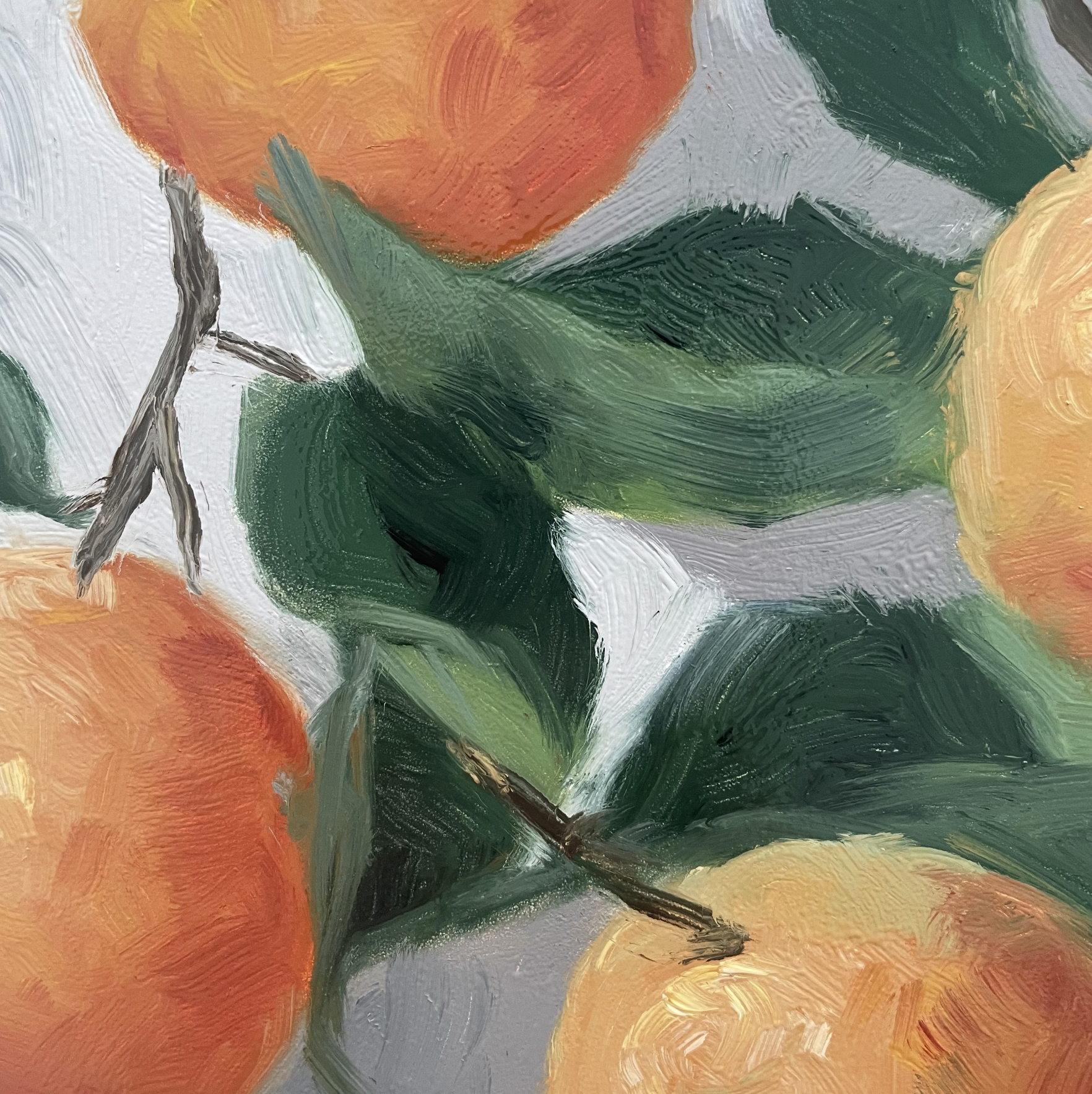 Screenshot 2026-01-11 at 8.36.54 PM.png