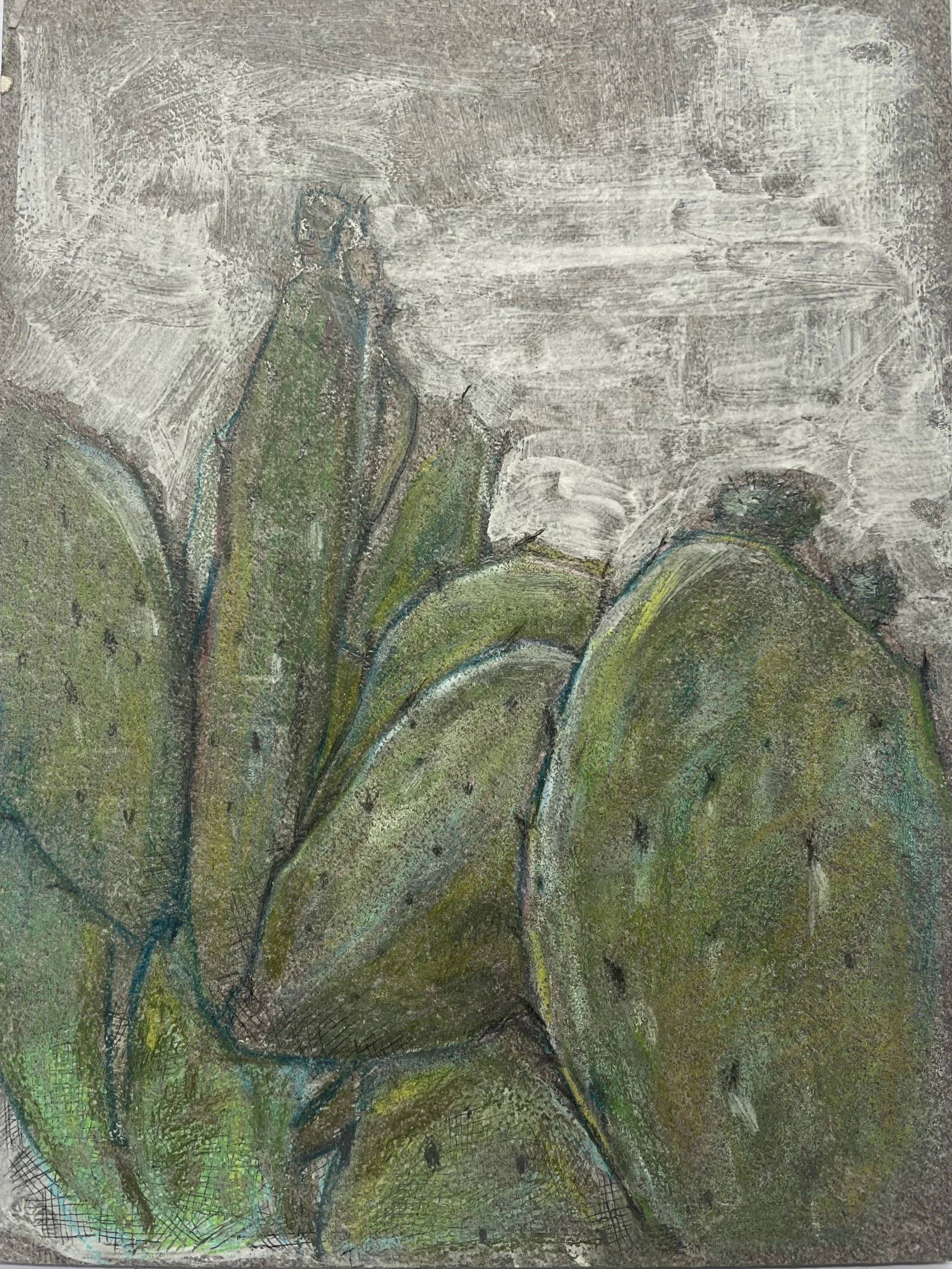 Prickly Pear Landscape