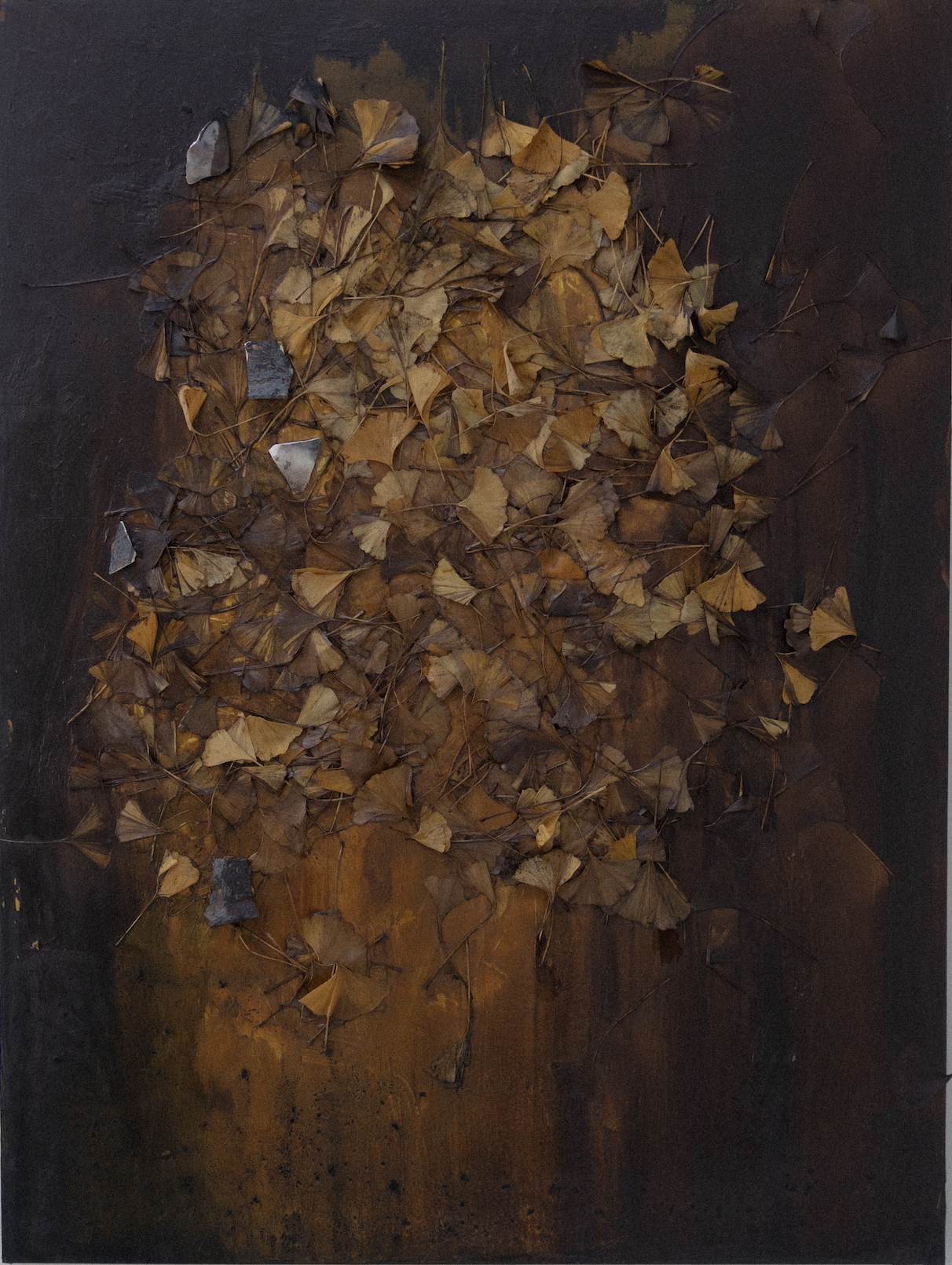 Ginkgo

Ginkgo leaves, saggar fired porcelain, oil, plaster on wood 

48 x 36 in (122 x 91 cm)