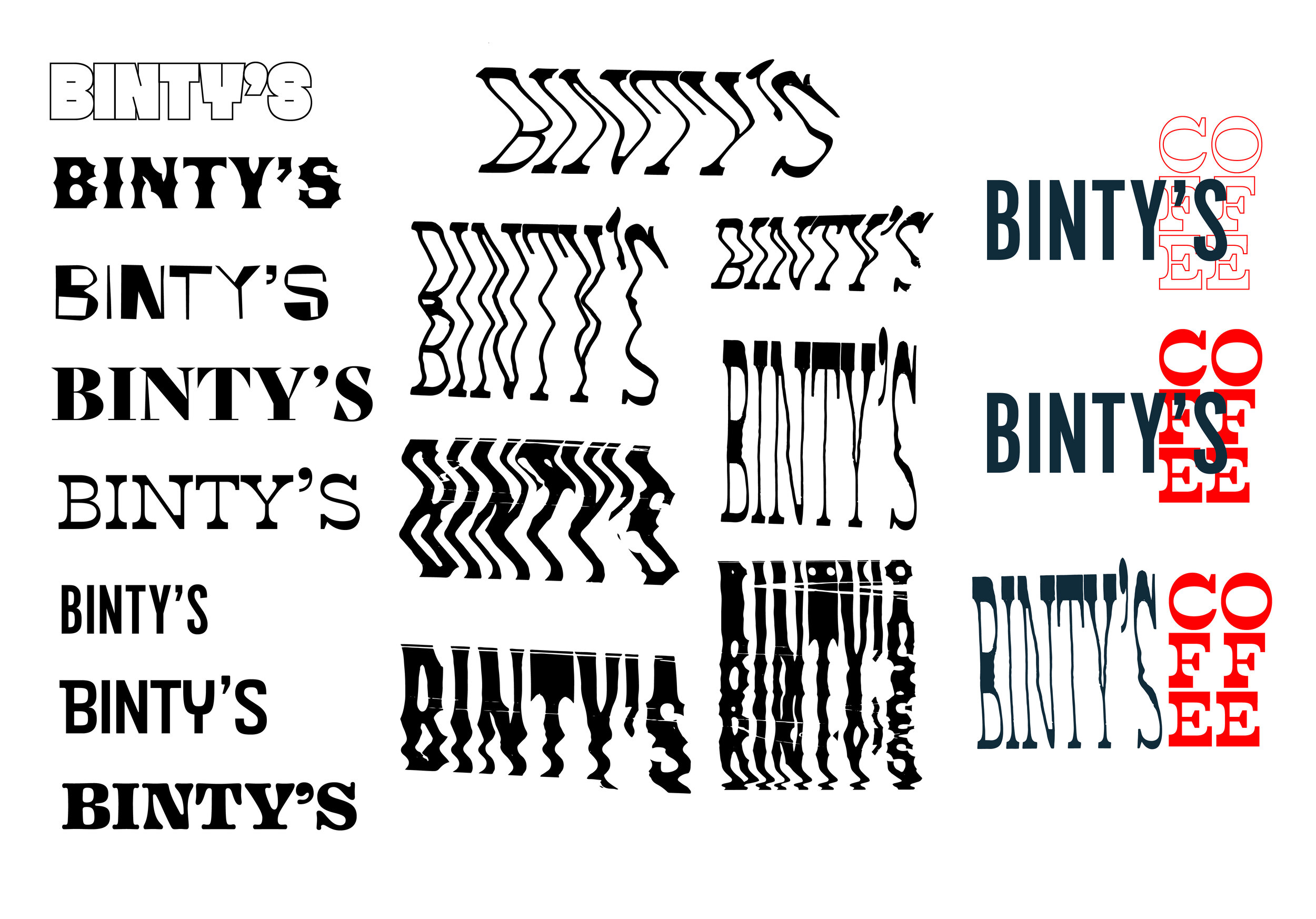 Wahlstrom_Emma_SP21_SpecialStudy_Binty's_LogoDevelopment 4-09.jpg
