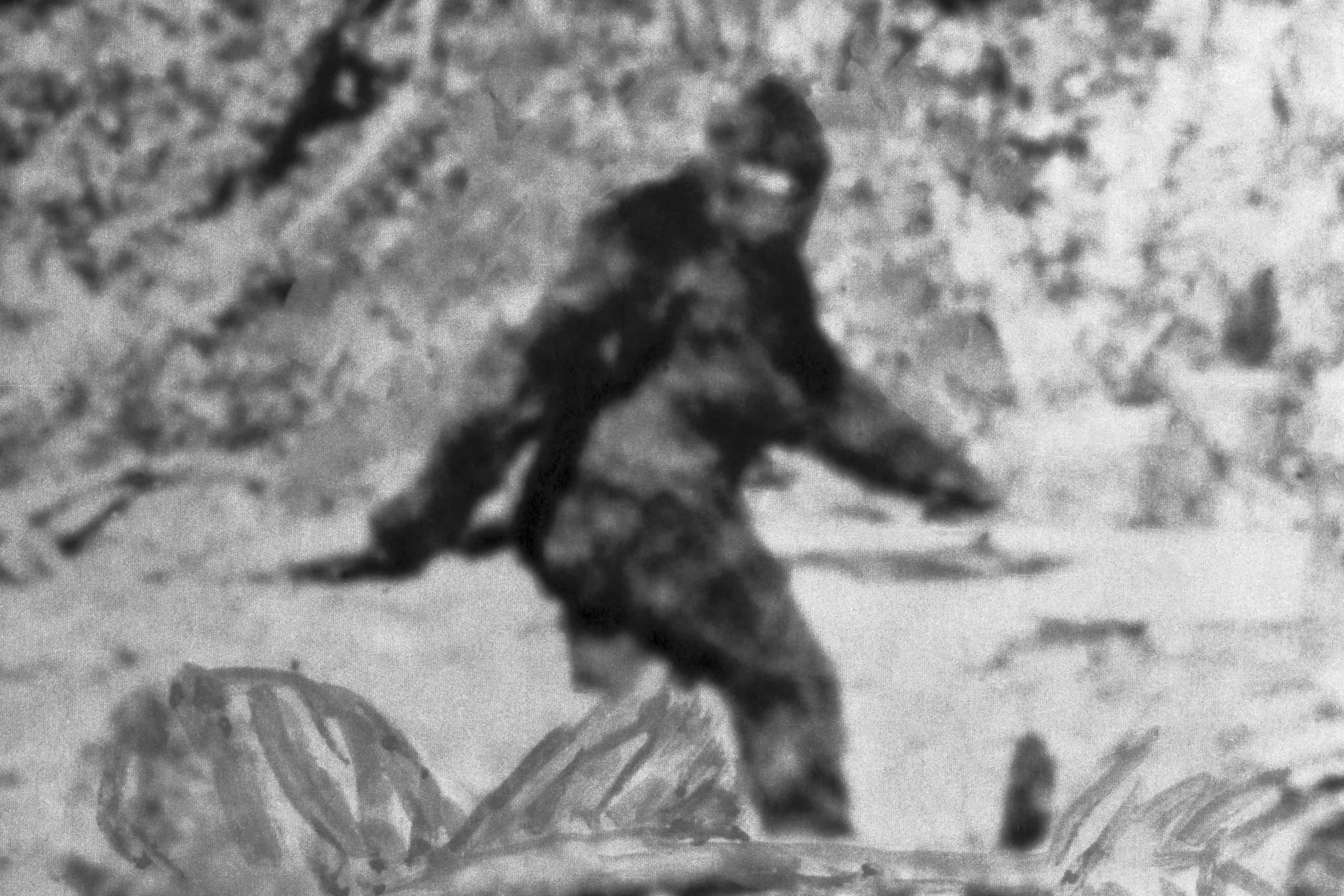 Bigfoot image from the Patterson-Gimlin film