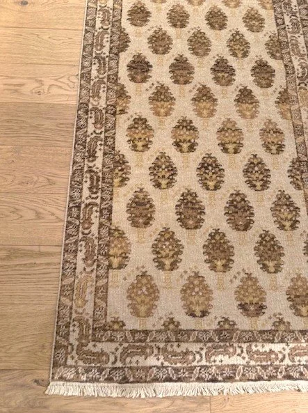 IMG_5309 adjusted.jpeg