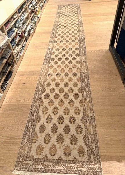 IMG_5308 adjusted.jpeg