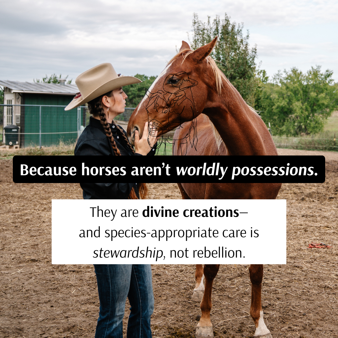 Were You Taught… - 14.PNG