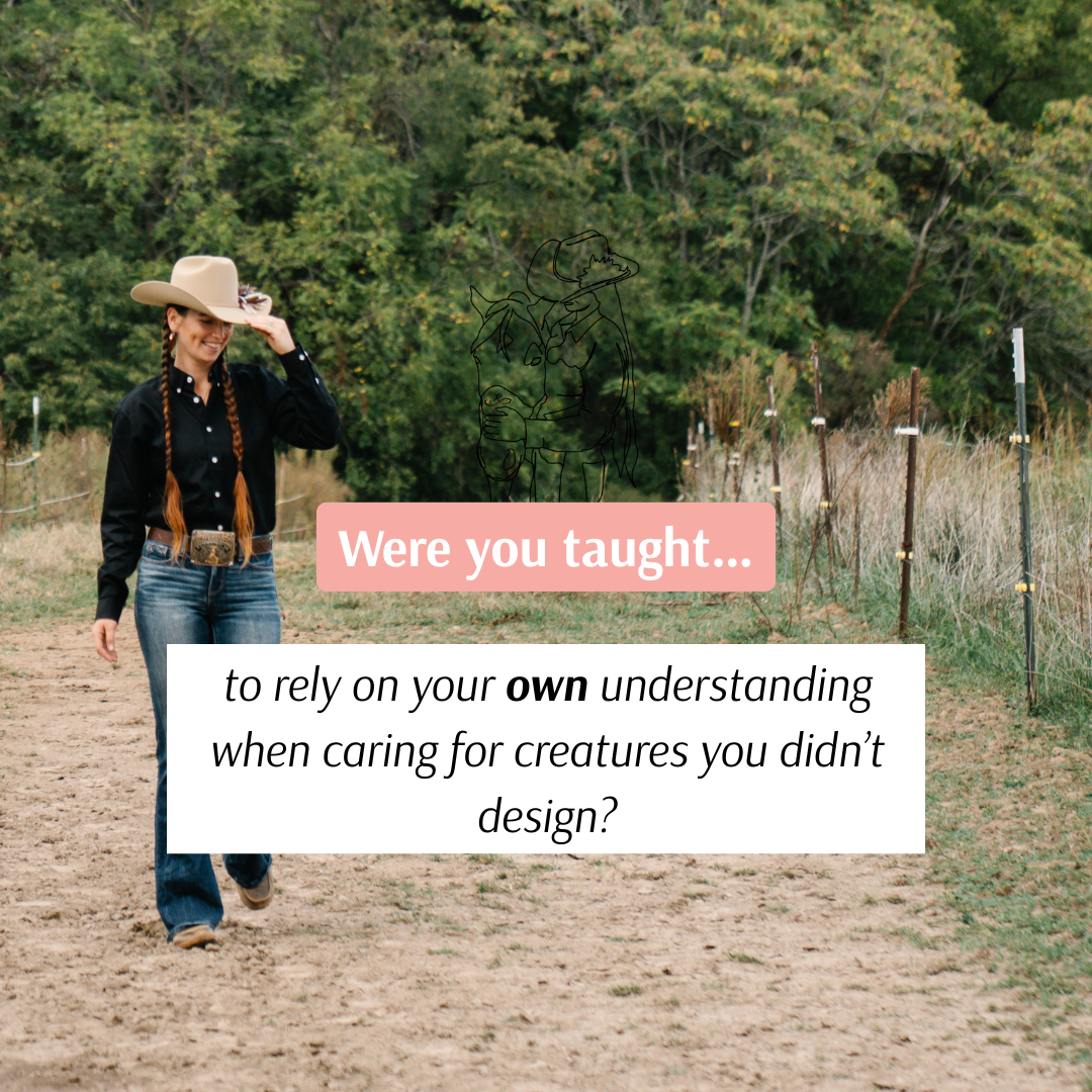 Were You Taught… - 24.PNG