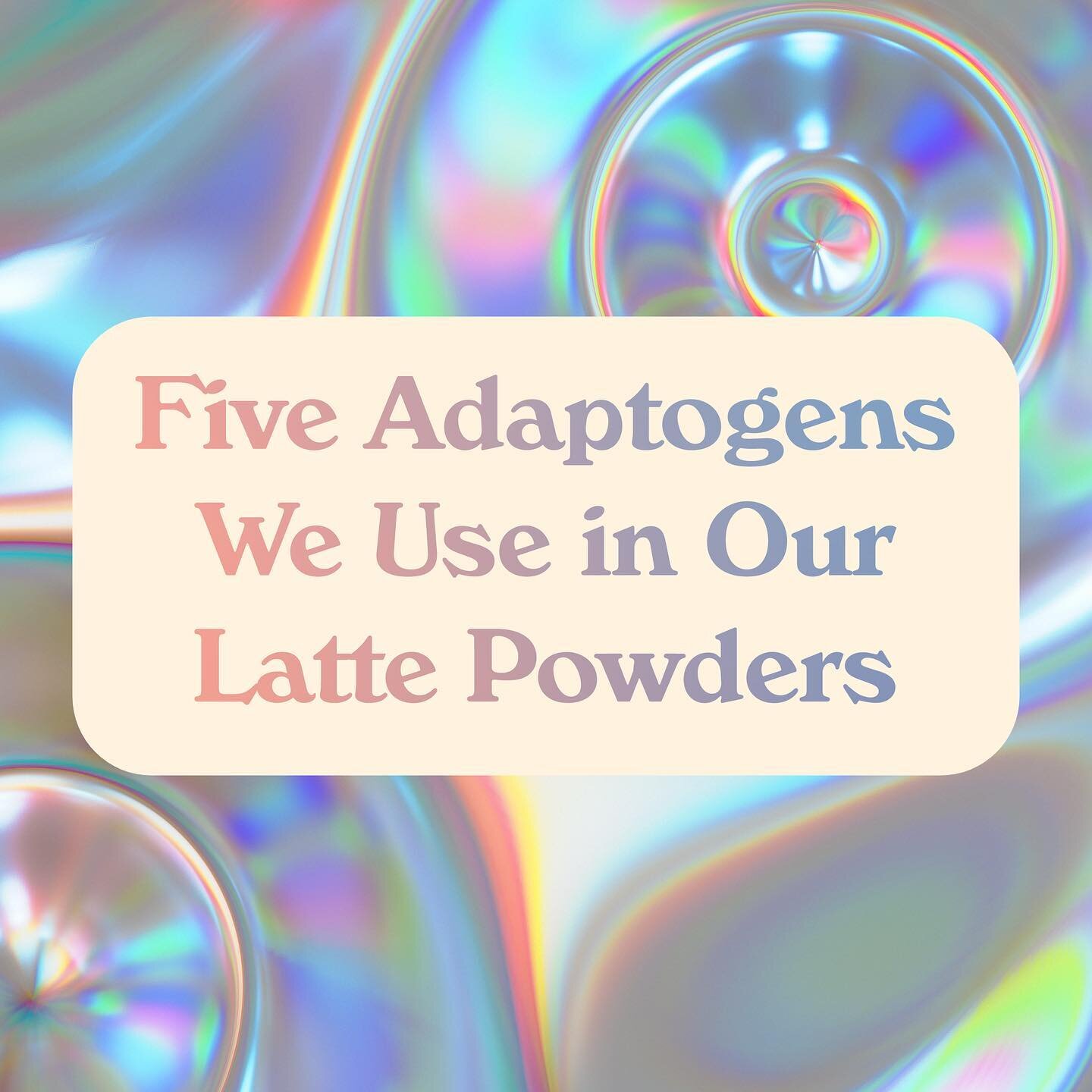 Curious which adaptogens we use in our products? Swipe to learn about a few of our faves 🍄