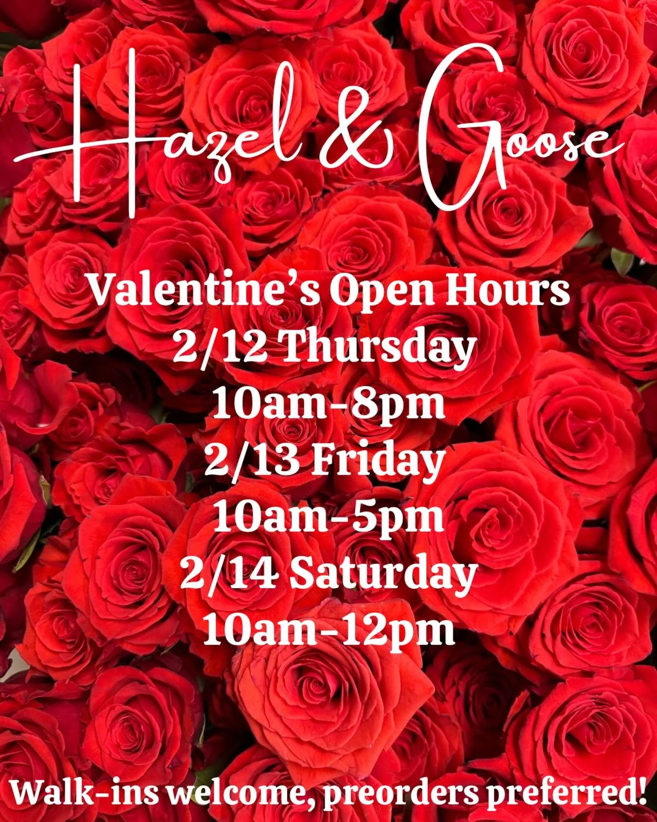 This year give them flowers they really want. The good ones. The Hazel &amp; Goose ones. ❤️

Here are our Valentine&rsquo;s open hours! Whether you&rsquo;re planning ahead or grabbing something sweet last minute, we&rsquo;ve got you covered. 🌹✨

Wal