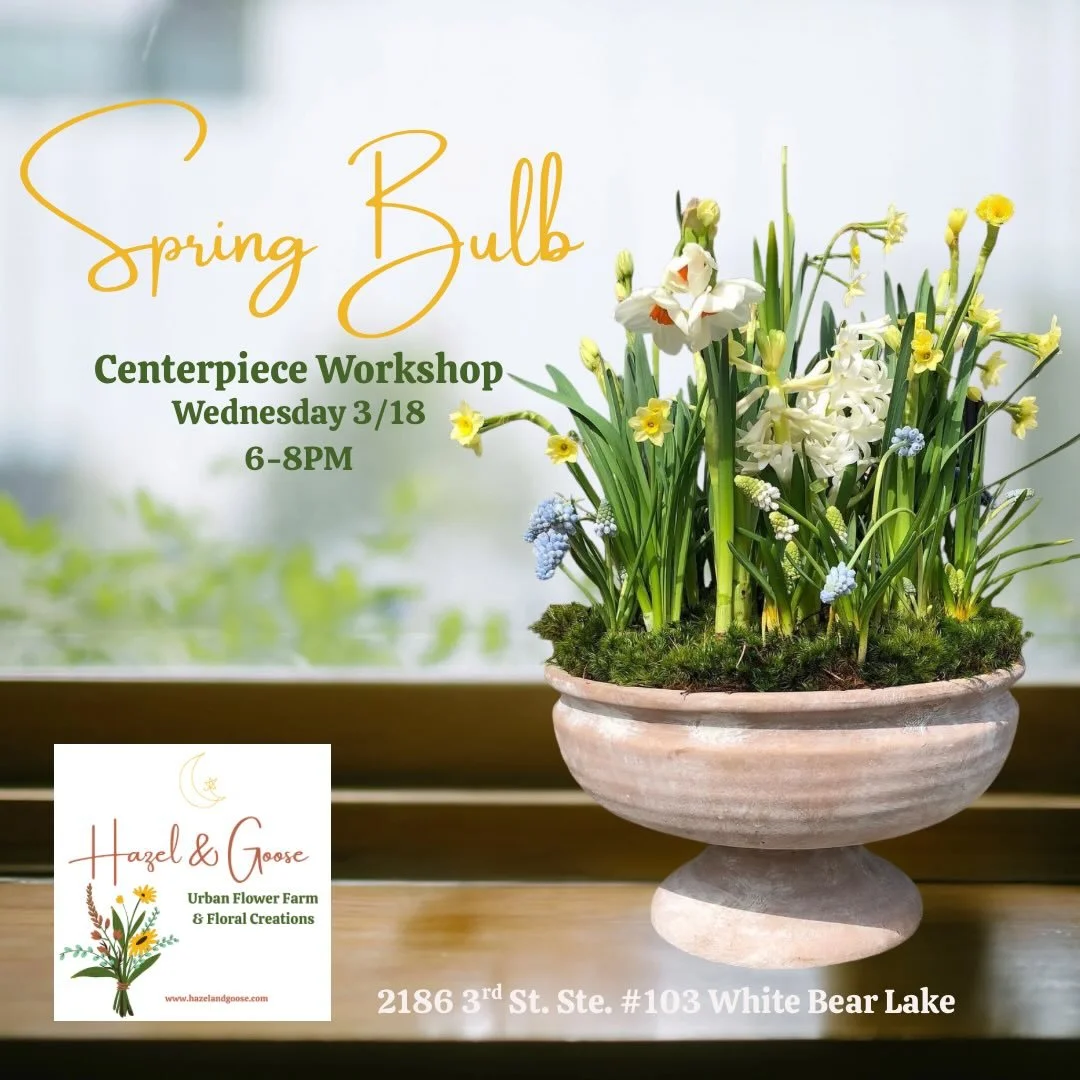 Spring is starting to bloom in the studio! 🌷 Join me for a Spring Bulb Centerpiece Workshop where we&rsquo;ll create a living centerpiece filled with beautiful seasonal bulbs and moss. Think happy colors, fresh greenery, and wait for the sweet scent