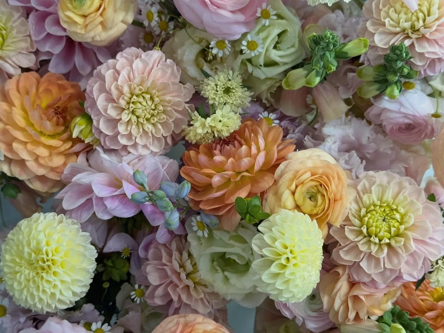 🌸 Our 2026 Flower Subscriptions are ALMOST here! 🌸

There&rsquo;s still time to sign up and bring the beauty of fresh, local blooms into your home or office with one of our five subscription offerings. Whether you&rsquo;re treating yourself or gift