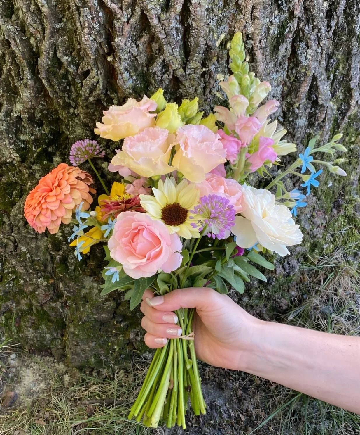 Today&rsquo;s the final day to sign up for 3 of our flower subscriptions! 🌸✨

If you&rsquo;ve been dreaming of fresh flowers all season long, now&rsquo;s your moment! Our 𝓘 𝓜𝓾𝓼𝓽 𝓗𝓪𝓿𝓮 𝓕𝓵𝓸𝔀𝓮𝓻𝓼 𝓐𝓵𝔀𝓪𝔂𝓼 &amp; 𝓐𝓵𝔀𝓪𝔂𝓼 &amp; 𝓢𝓹