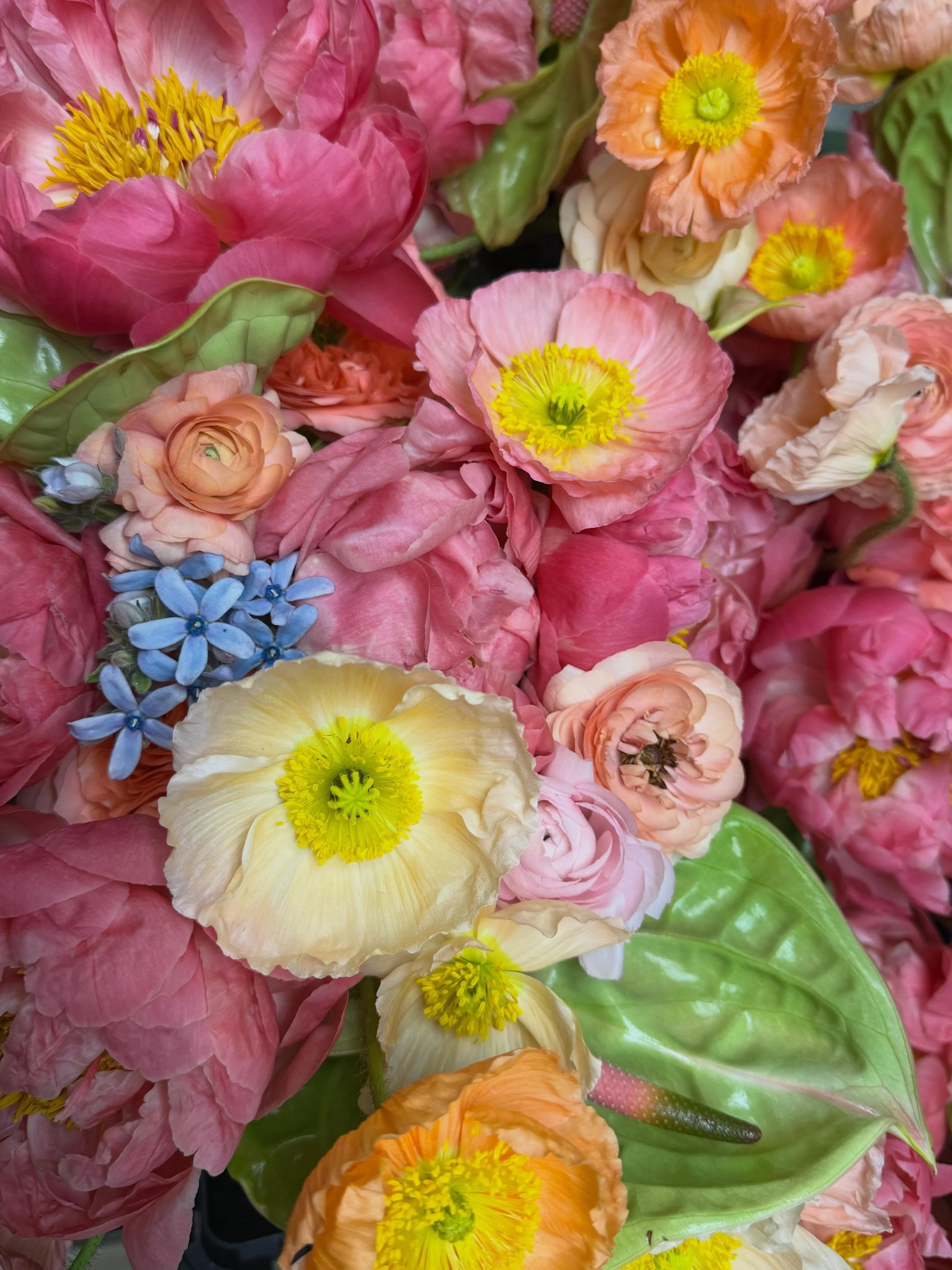 Happy Wedding Day, Lauren &amp; Russ! 🤍
6.6.2026
.
.
#hngweddings #mnweddingflorist #weddingflowers #juicyjuicy #hazelandgoose