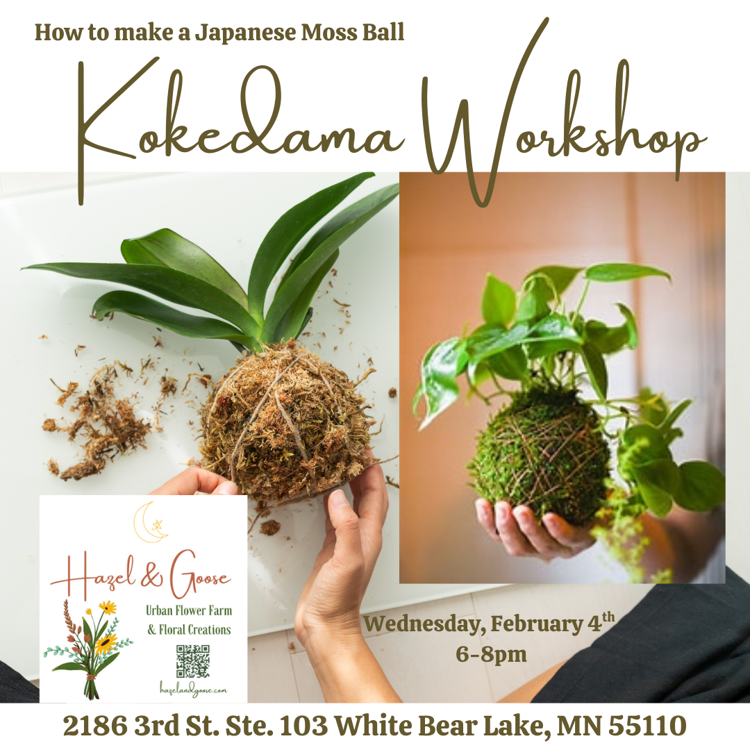 Kokedama Workshop