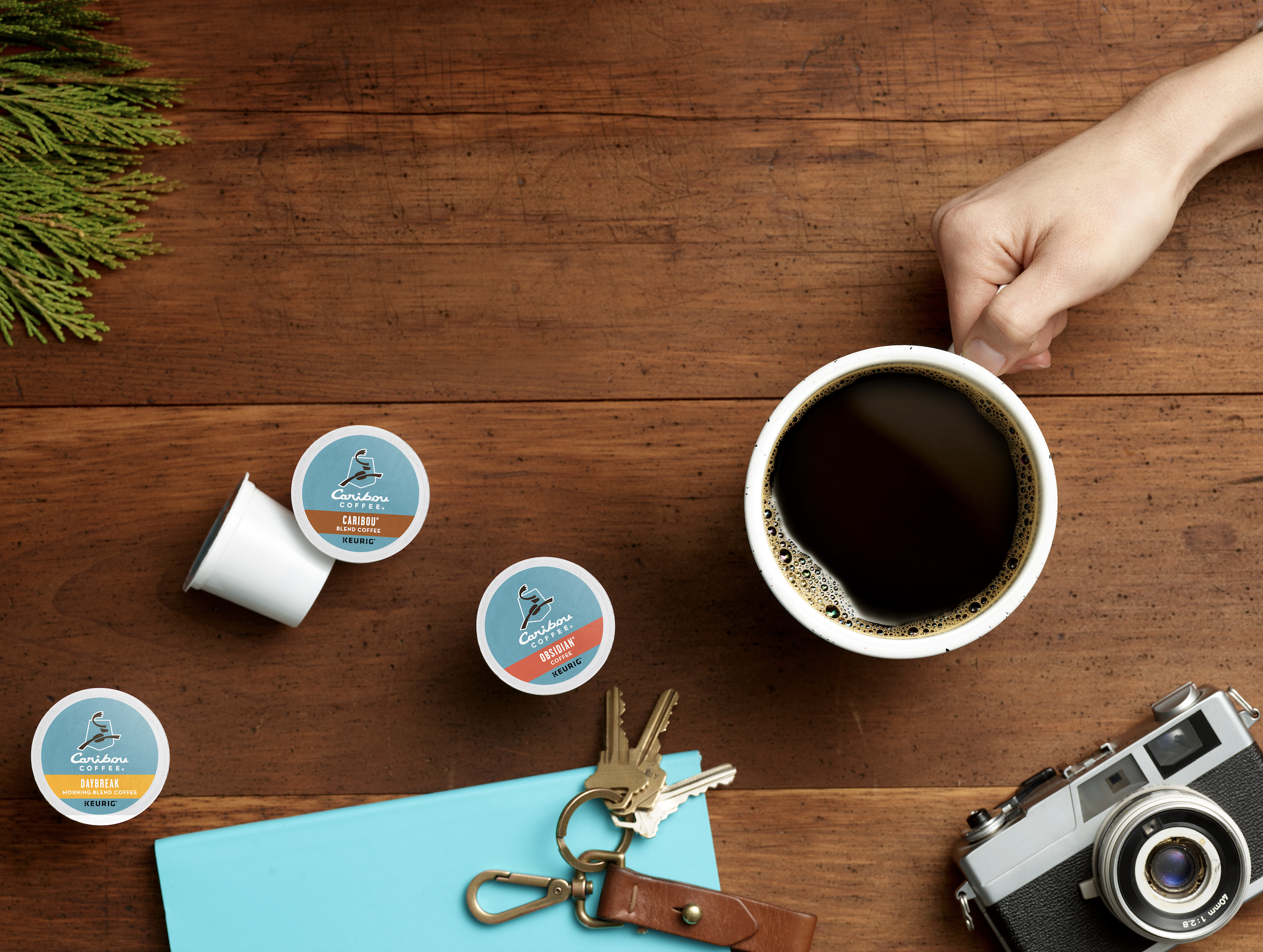 Screen Shot 2021-05-03 at 3.51.32 PM.png