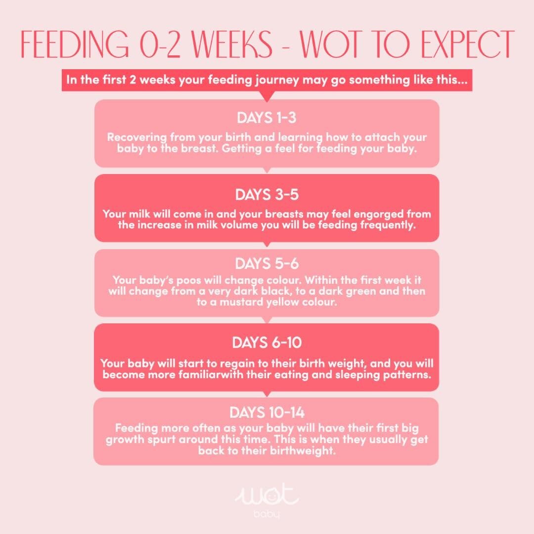 Feeding from 0-2 Weeks - WOT to expect 🍼

One of the most challenging experiences that no one prepares you for as a new parent is the irregular feeding patterns your baby will have in the first few weeks.

The first week or two is all about establis