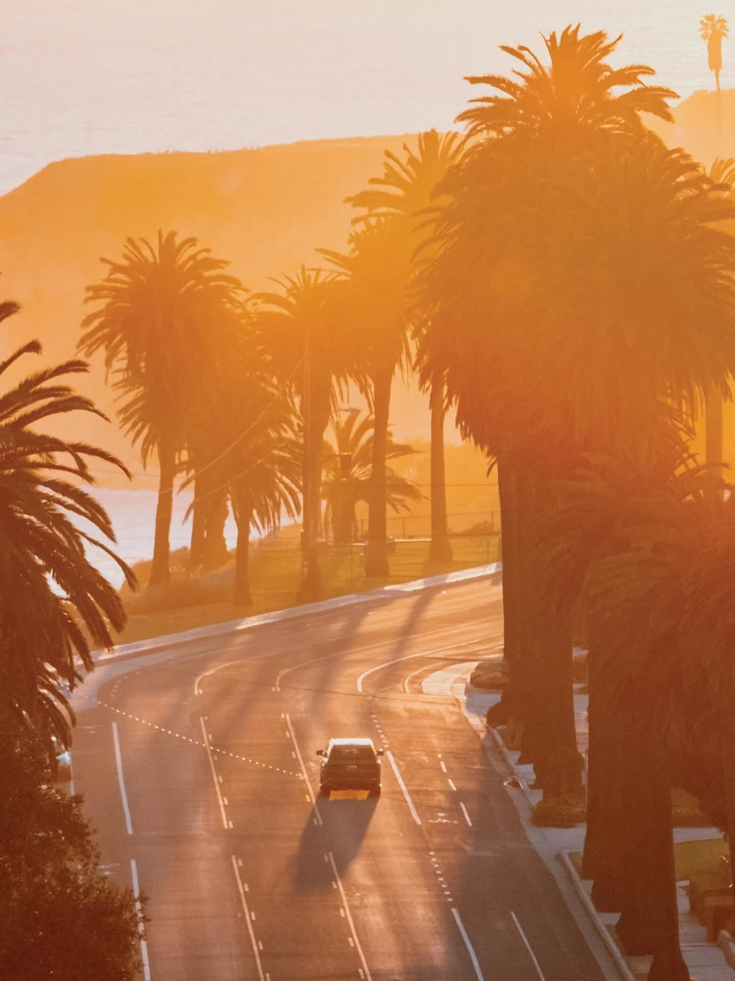 .when everything feels like the movies