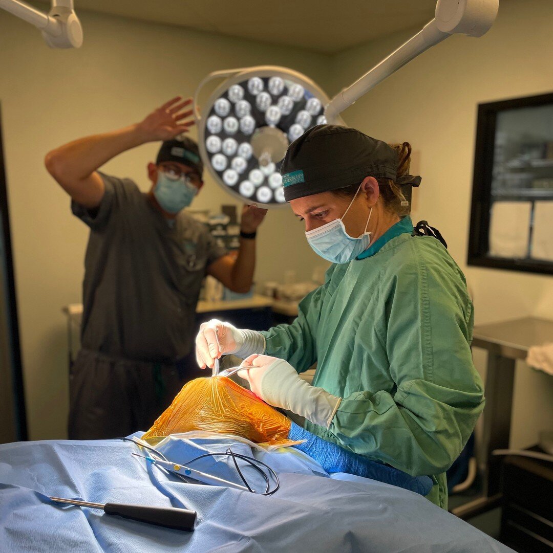 Gotta get those lights just right! &hellip; But for real. Having a well-lit surgical site makes all the difference! ☀️💡

#lightscameraaction #surgery #veterinarysurgeons #SVS #veterinary #tplo #pethospital #vettechlife #orthopedicsurgeon #vetlife #v