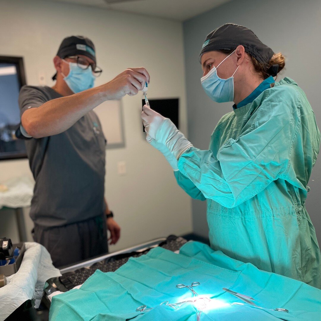 Dr. Simon believes in providing the highest quality pain control available, so the SVS team uses Nocita&reg; for every orthopedic surgery and most soft tissue surgeries, as appropriate. 

Nocita&reg; is the only long-acting local anesthetic that prov