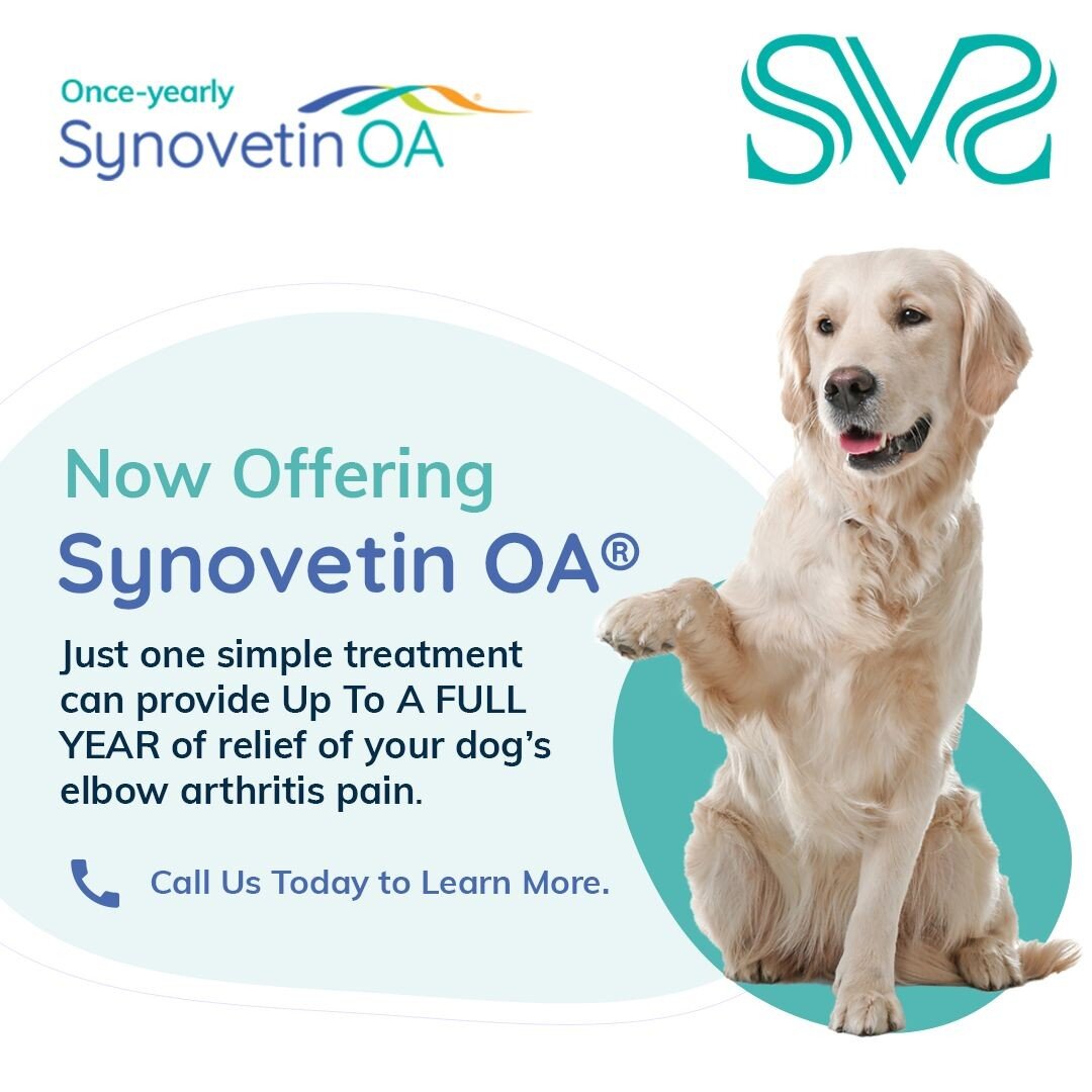 We are thrilled to announce that we are now offering Synovetin OA&reg;, a revolutionary new treatment for canine elbow osteoarthritis!

If you suspect your dog may be suffering from joint pain, call us at 310-402-3753 or visit www.simonvetsurgical.co