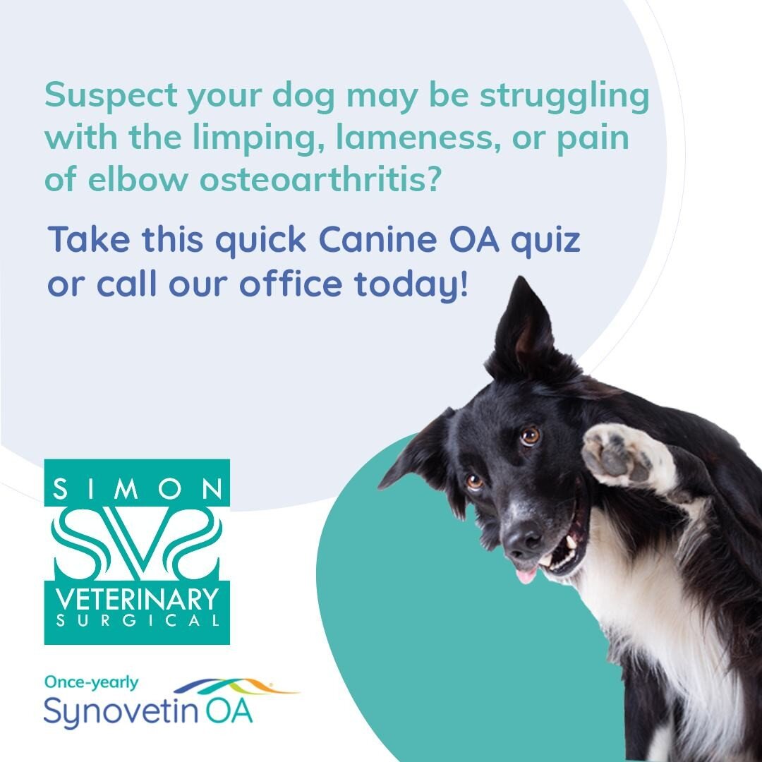If you suspect your dog may be struggling with limping, lameness, and pain of elbow osteoarthritis, there is something you can do to help today.

Take this quick quiz and share your results with Dr. Simon to learn more about canine arthritis and trea