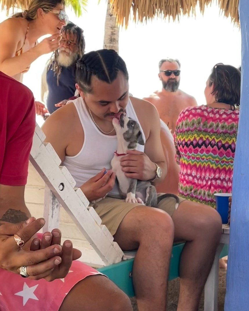 Take SVS on vacation, and we&rsquo;ll still manage to find a random beach puppy 🐶🥰

#SVS #BeachPup #PuppyWhisperer #VetLife #VacationMode #AnimalLovers #CutestCoworkers