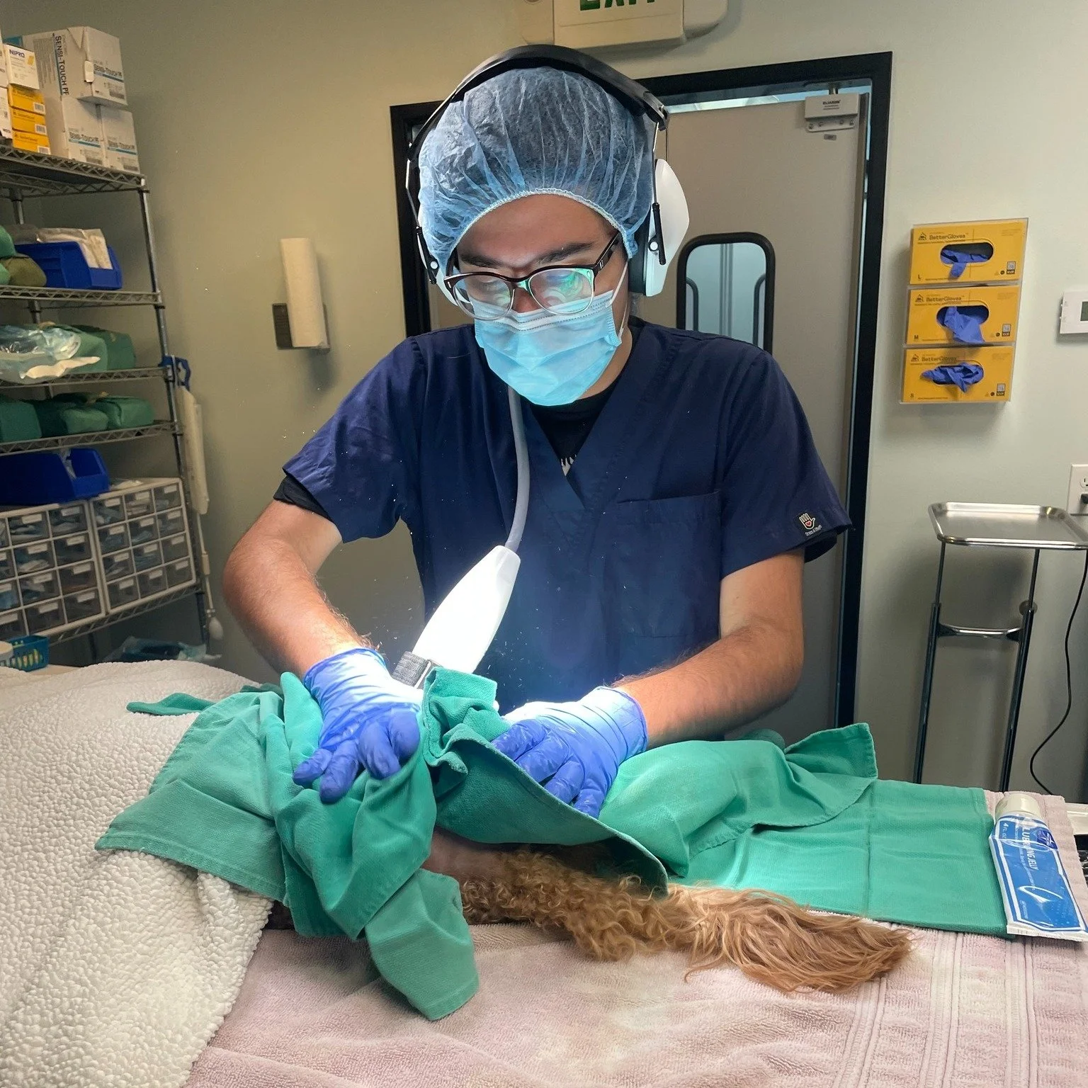 Give it up for our anesthesia specialist, Jonny! He's been in the veterinary field for over 8 years, and just continues to refine his craft. We are so lucky to have him on the SVS team! 

 #vetsurgery #pethospital #vettechlife #veterinary #SVS #shock