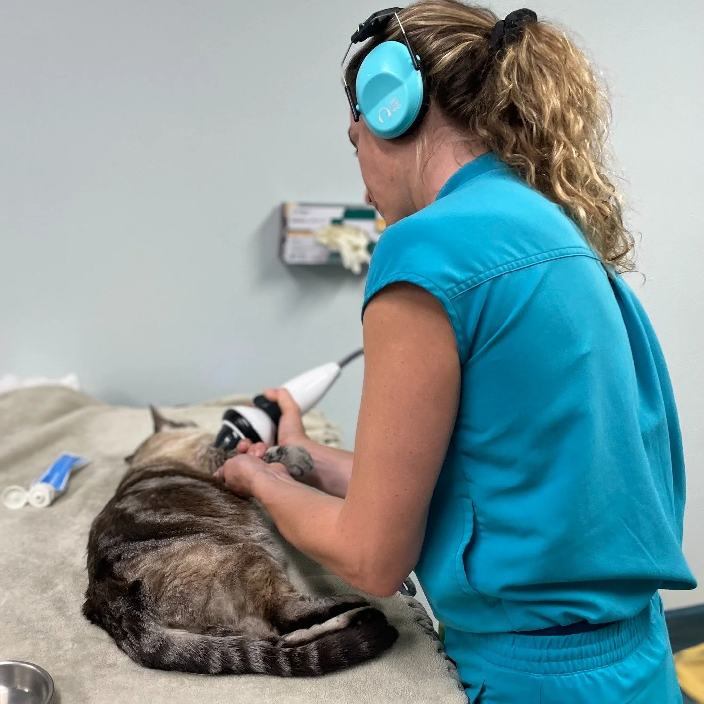 Did you know we offer Shockwave Therapy? ⚡️🐾

This non-invasive treatment helps reduce pain, speed up healing, and improve mobility in pets with joint issues, soft tissue injuries, and more. 

Our little Kevin kitty here has some elbow arthritis goi