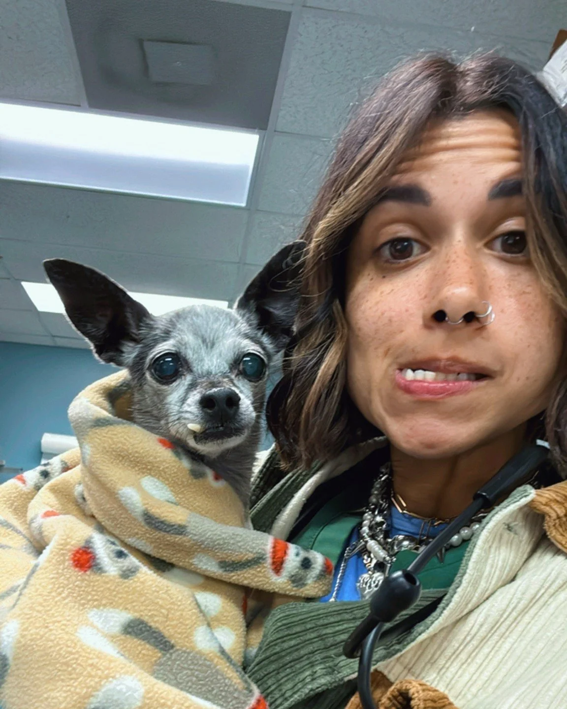 Now this has just gots to be the cutest snaggletooth we've ever seen!! 

#snaggletooth #snaggletoothdog #pethospital #vettechlife #cuties #SVS #veterinary #dogsoflosangeles #doglover #dogoftheday