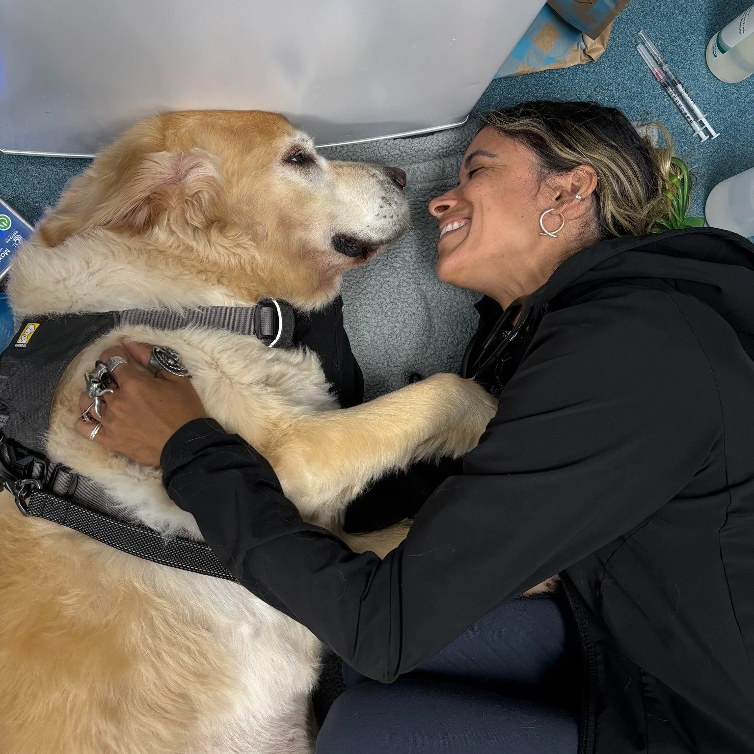 When you get caught whispering sweet nothings to the patient ... 😘😳😅

 #dogslife #SVS #veterinary #vettechlife #pethospital #sweetnothing #ughoh #Veterinary #vetmed #veterinarian #puppylove #doghealth