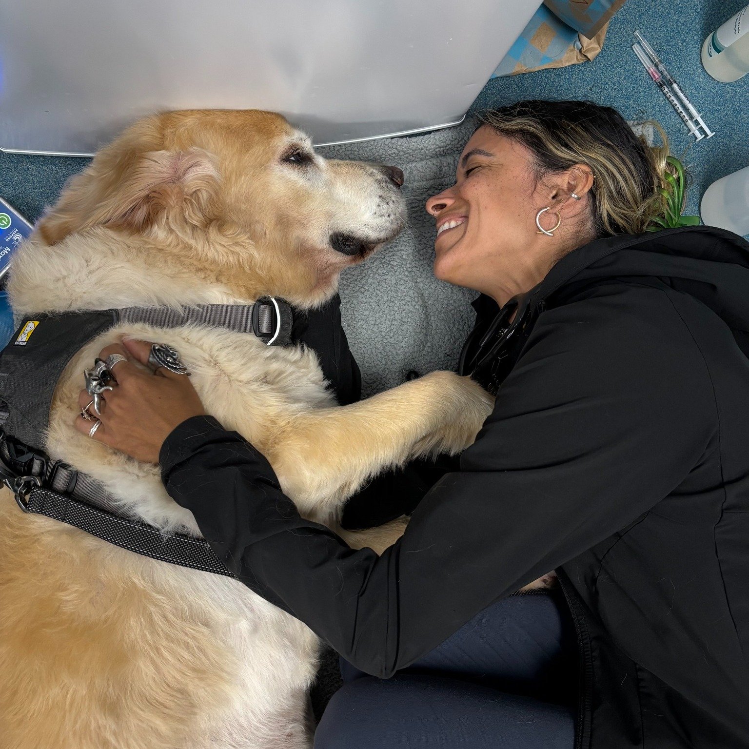 When you get caught whispering sweet nothings to the patient ... 😘😳😅

 #dogslife #SVS #veterinary #vettechlife #pethospital #sweetnothing #ughoh #Veterinary #vetmed #veterinarian #puppylove #doghealth