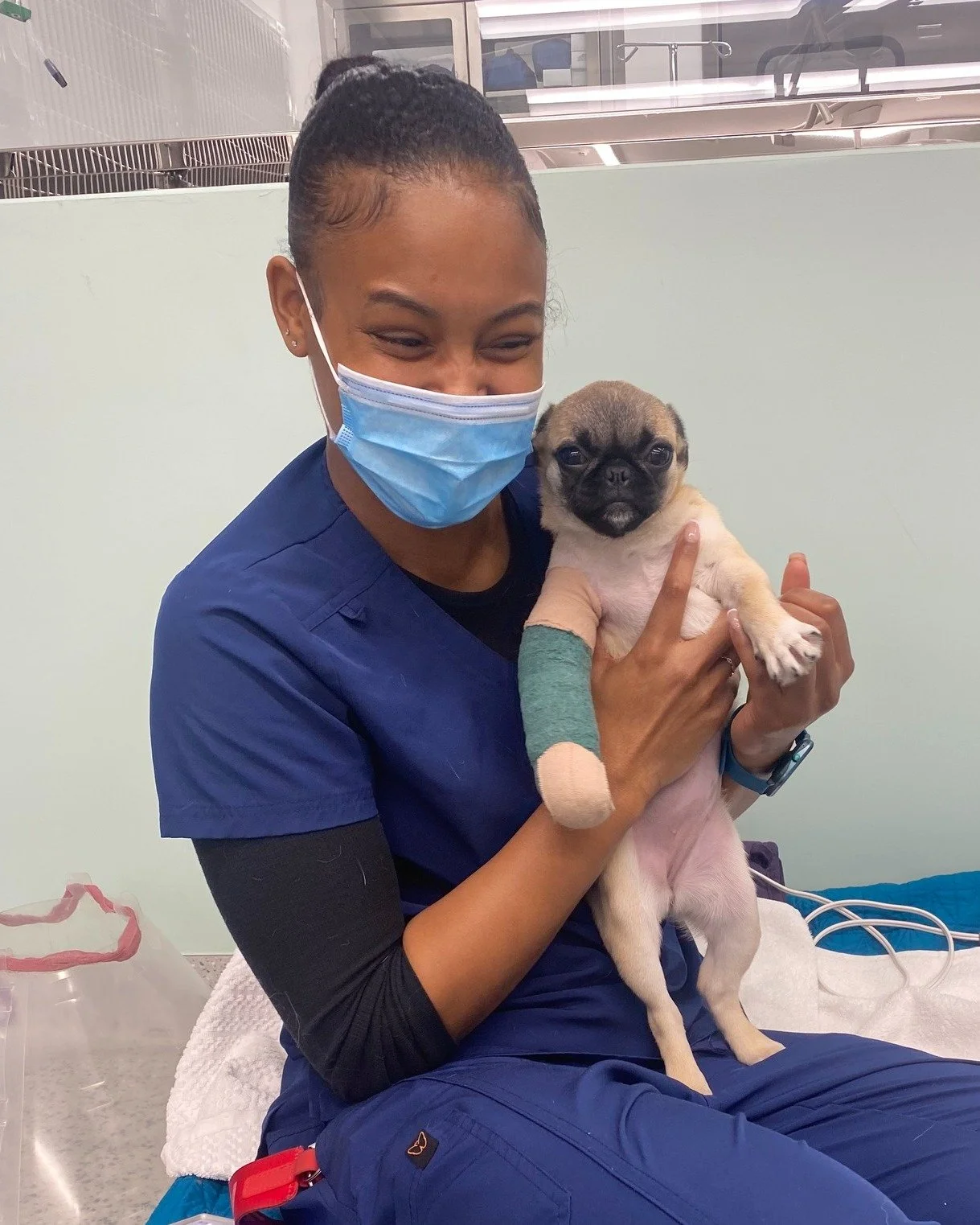 Gah, we love what we do 🩵🐾💙

#LynwoodCA #pethealth #veterinarian #doghealth #SVS #veterinary #vettechlife #pethospital #vetlife