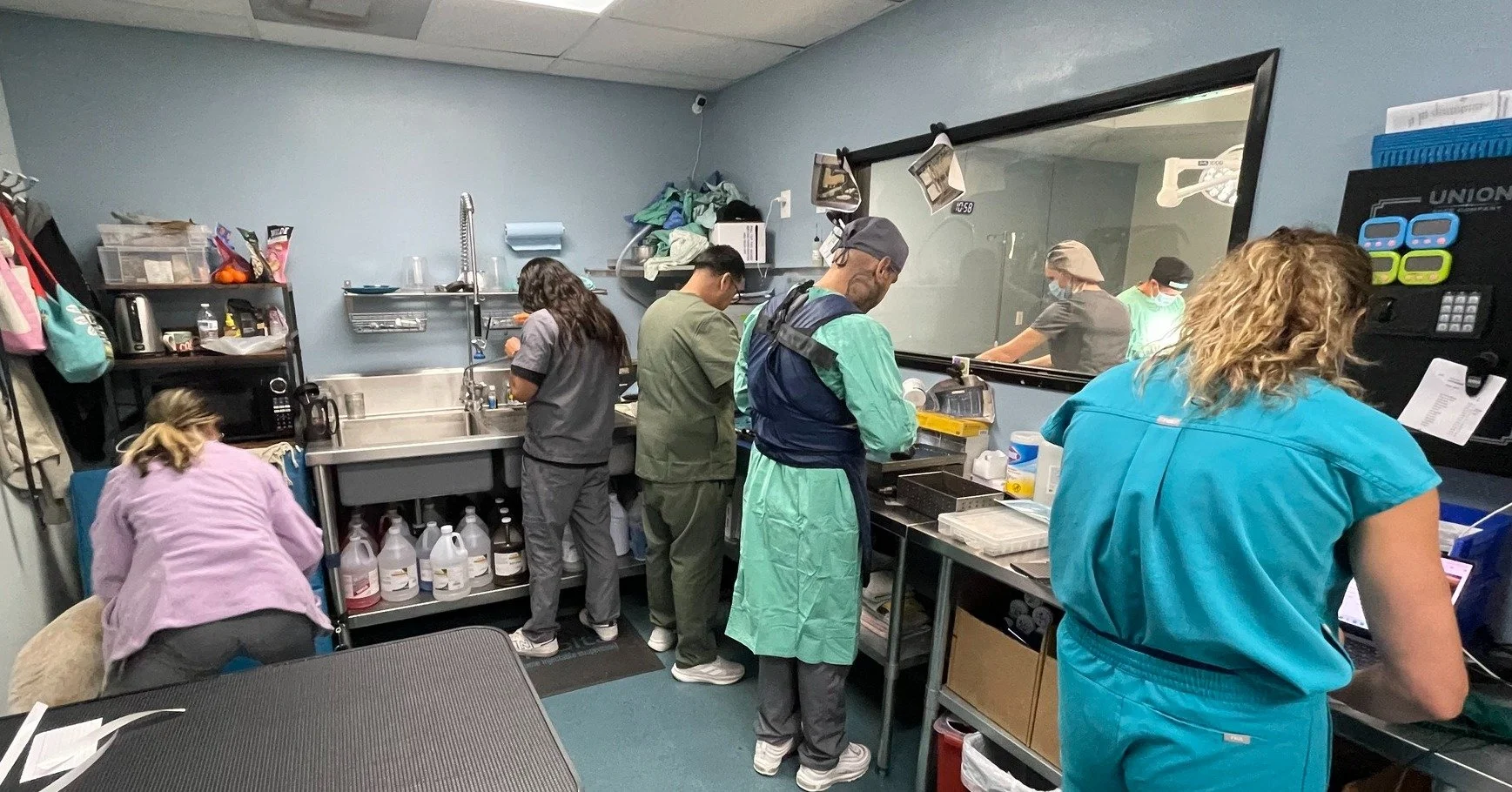 Looks like we&rsquo;ve got all the cooks in the kitchen - cooking up the best care for your pets! 🍽️🐾

 #SVS #veterinary #vettechlife #pethospital #vetsurgery #smallbusinesslove #BehindTheScenes #ClinicLife #VetSquad #AllHandsOnDeck