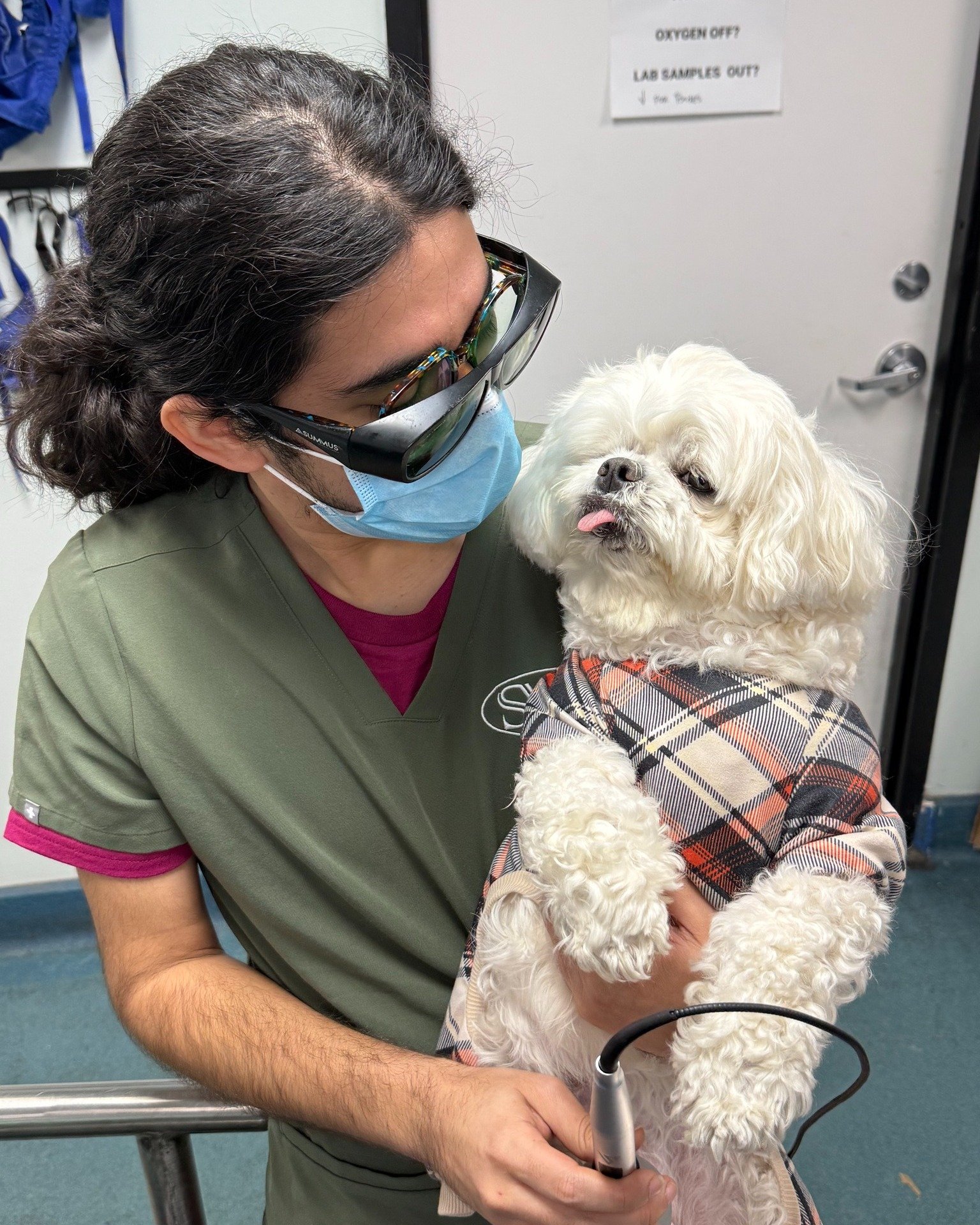 I can't tell what this pup is enjoying more: the cold laser therapy or being held by our sweet, sweet Jonny 🐶😍

#pethealth #veterinarian #doghealth #vetmed #coldlaser #doglover #SVS #veterinary #cuties #vettechlife