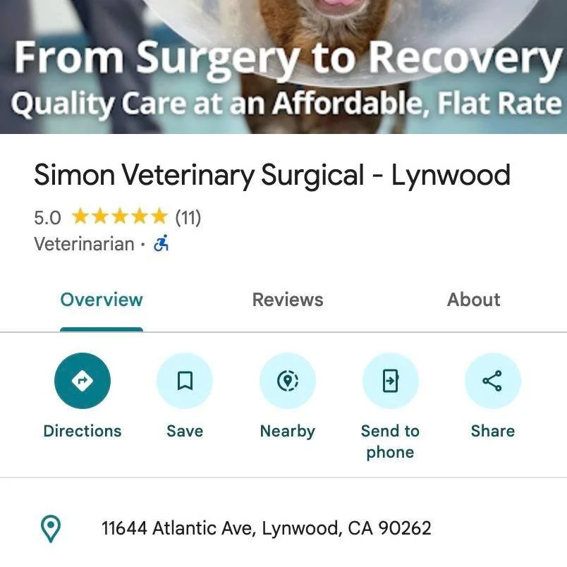 ⭐⭐⭐⭐⭐ Oh my gosh, you guys 💚 It&rsquo;s only been three months, but as small business owners, seeing a 5-Star Rating genuinely warms our hearts. Every single review makes our day. We&rsquo;re so grateful for this incredible community and fan club - 