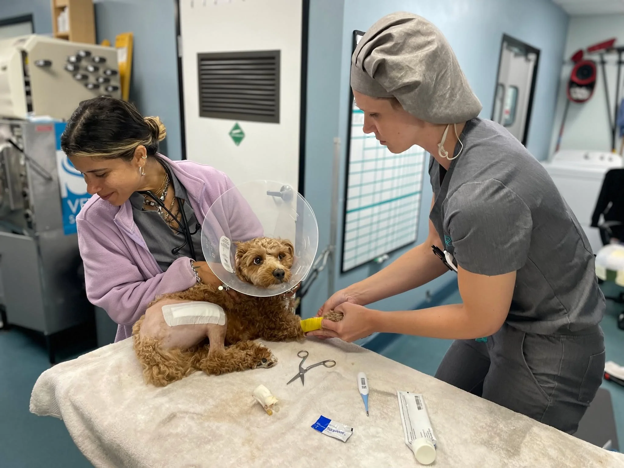 Just taking a moment to recognize our incredible technicians. Veterinary medicine can be challenging and emotional, but they show up with skill, compassion, and dedication every single day. As SVS continues to grow, we&rsquo;re grateful to have a tea
