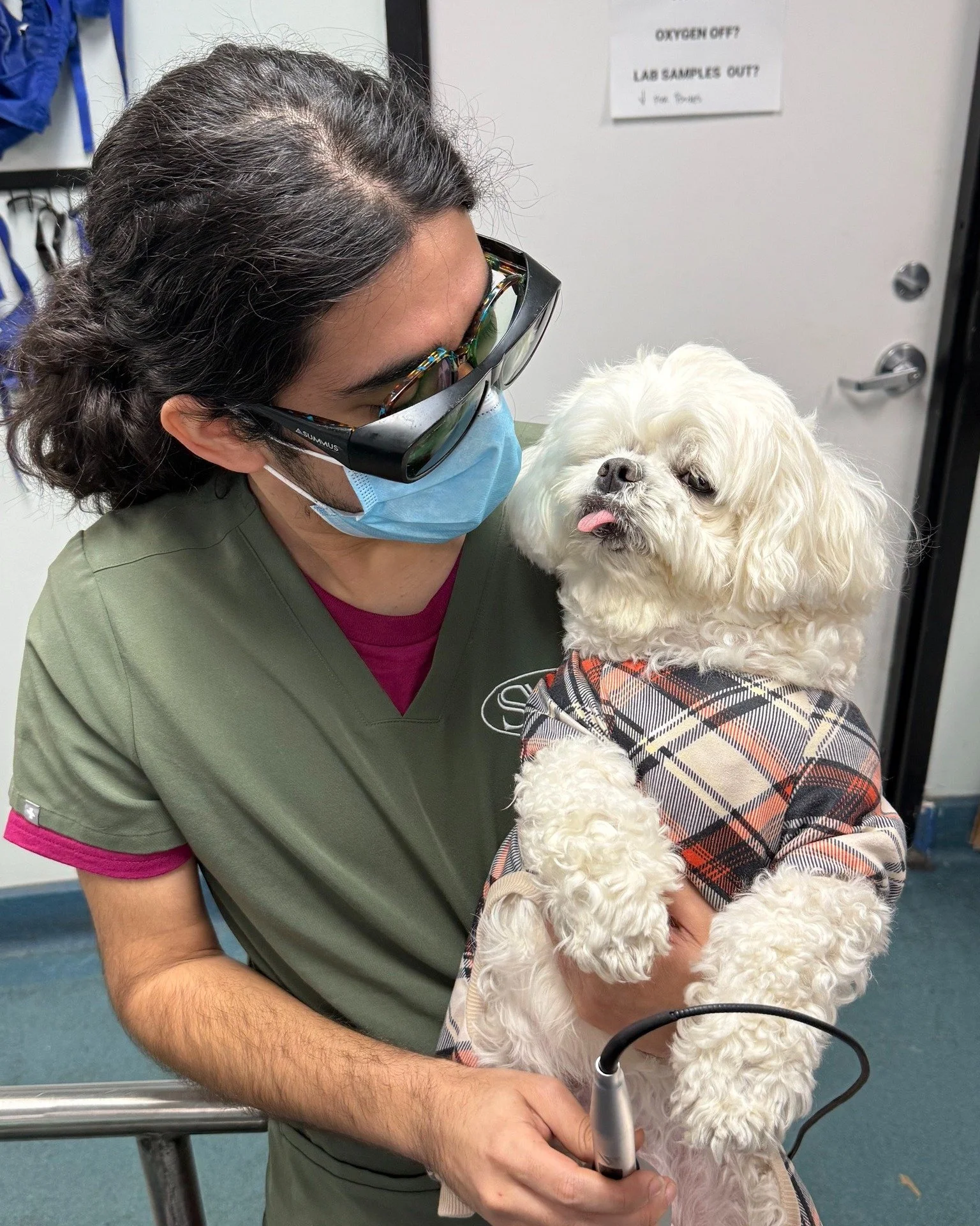 I can't tell what this pup is enjoying more: the cold laser therapy or being held by our sweet, sweet Jonny 🐶😍

#pethealth #veterinarian #doghealth #vetmed #coldlaser #doglover #SVS #veterinary #cuties #vettechlife