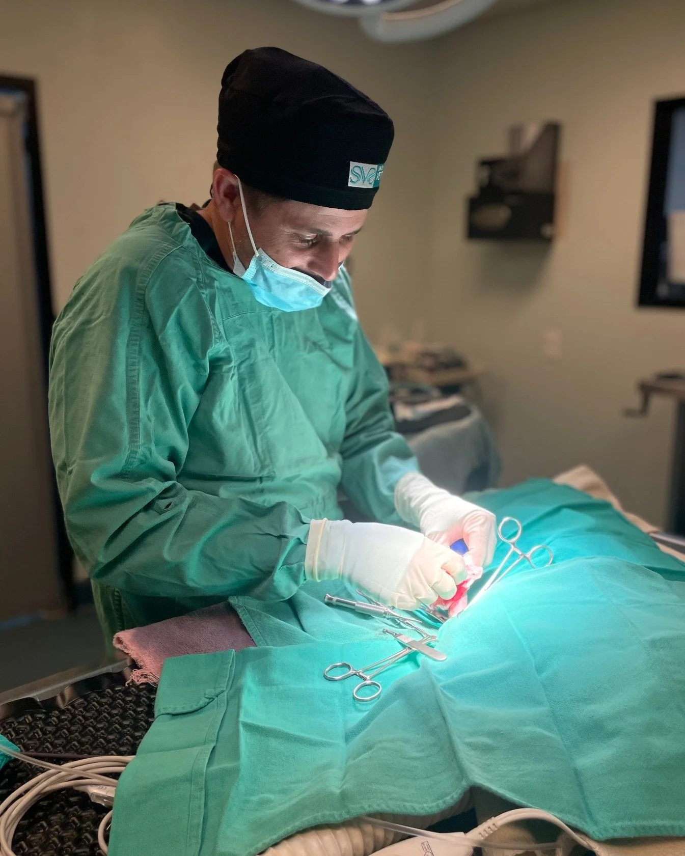 And the tiniest patient award goes to Betty, a toy Chihuahua measuring in at less than 2 kg! 🐶 Luckily, Dr. Sherman is a pro and wasn't even phased by the challenge of removing a bone plate from her itty bitty leg. It's always impressive to see vete