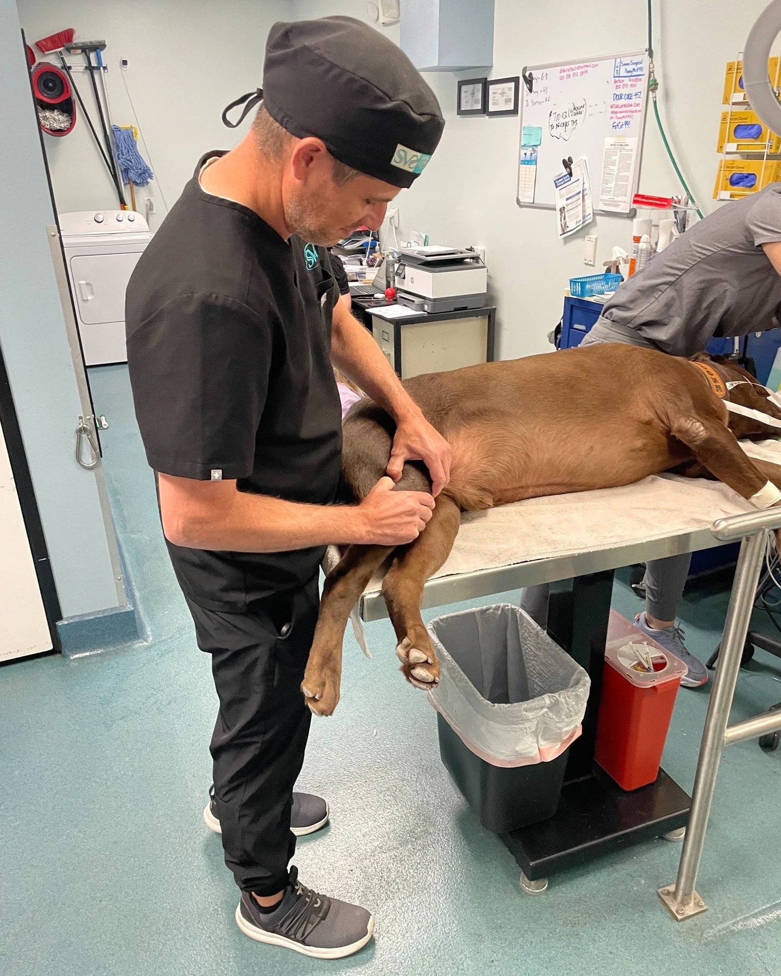 We've said it once and we'll say it again, TPLO's are our jam! We do them so often that Dr. Sherman could do them in his sleep (but of course, he prefers to do them fully awake and well caffeinated, lol!) 

#pethealth #veterinarian #doghealth #vetmed
