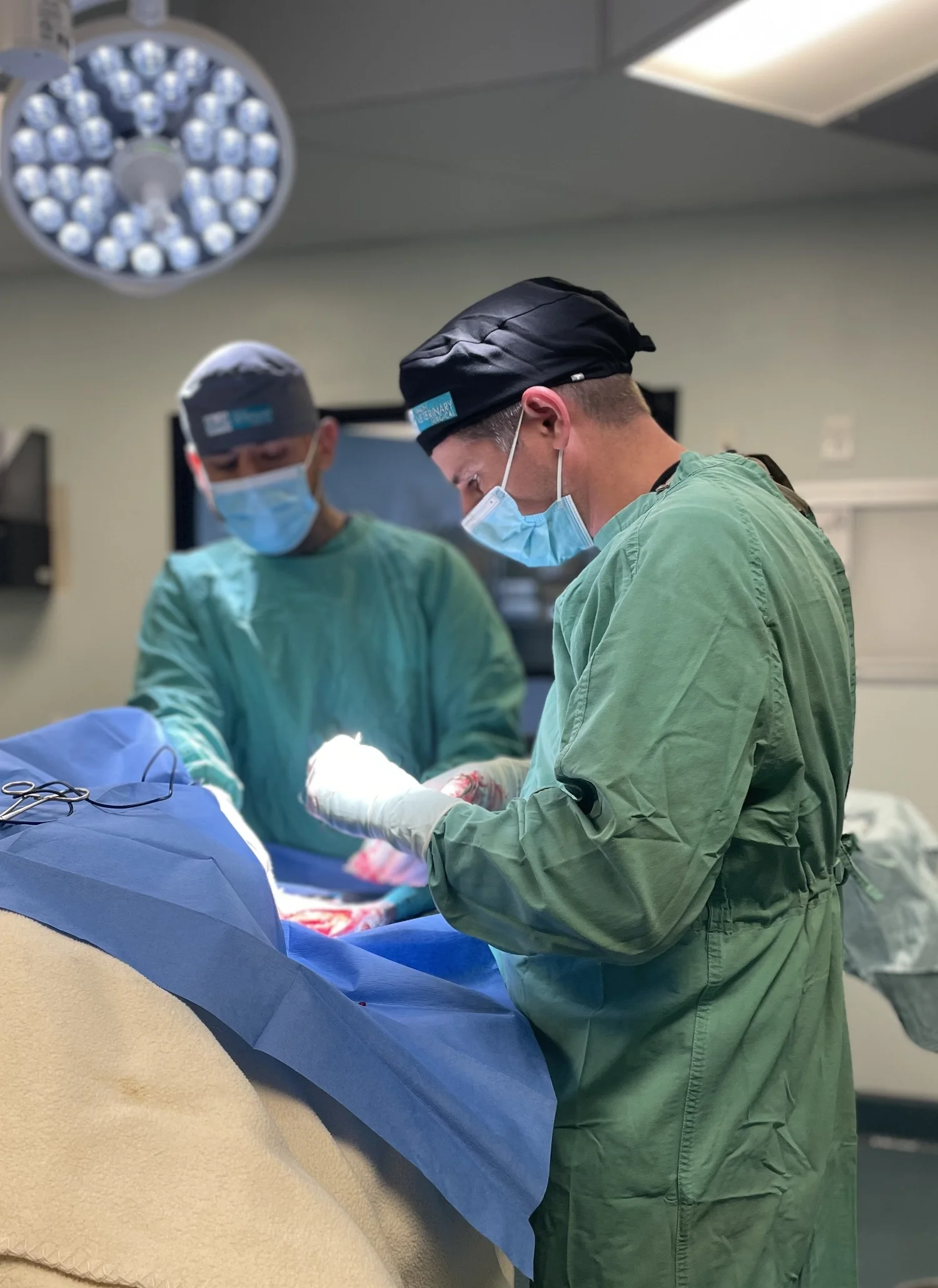 Dr. Brandon Sherman, DVM — surgeon and surgery consultant