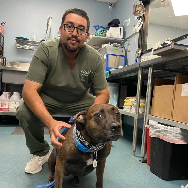 Jonny P. — Veterinary Assistant
