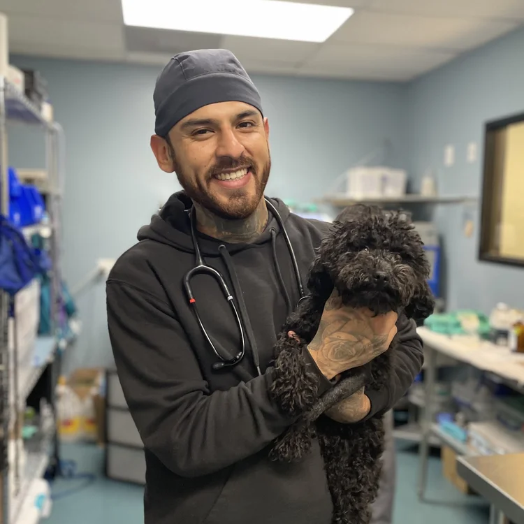 Jose D. — Head Veterinary Assistant