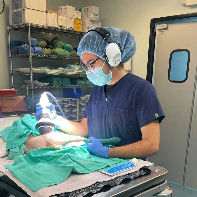 Jonny P. — Anesthesia Specialist